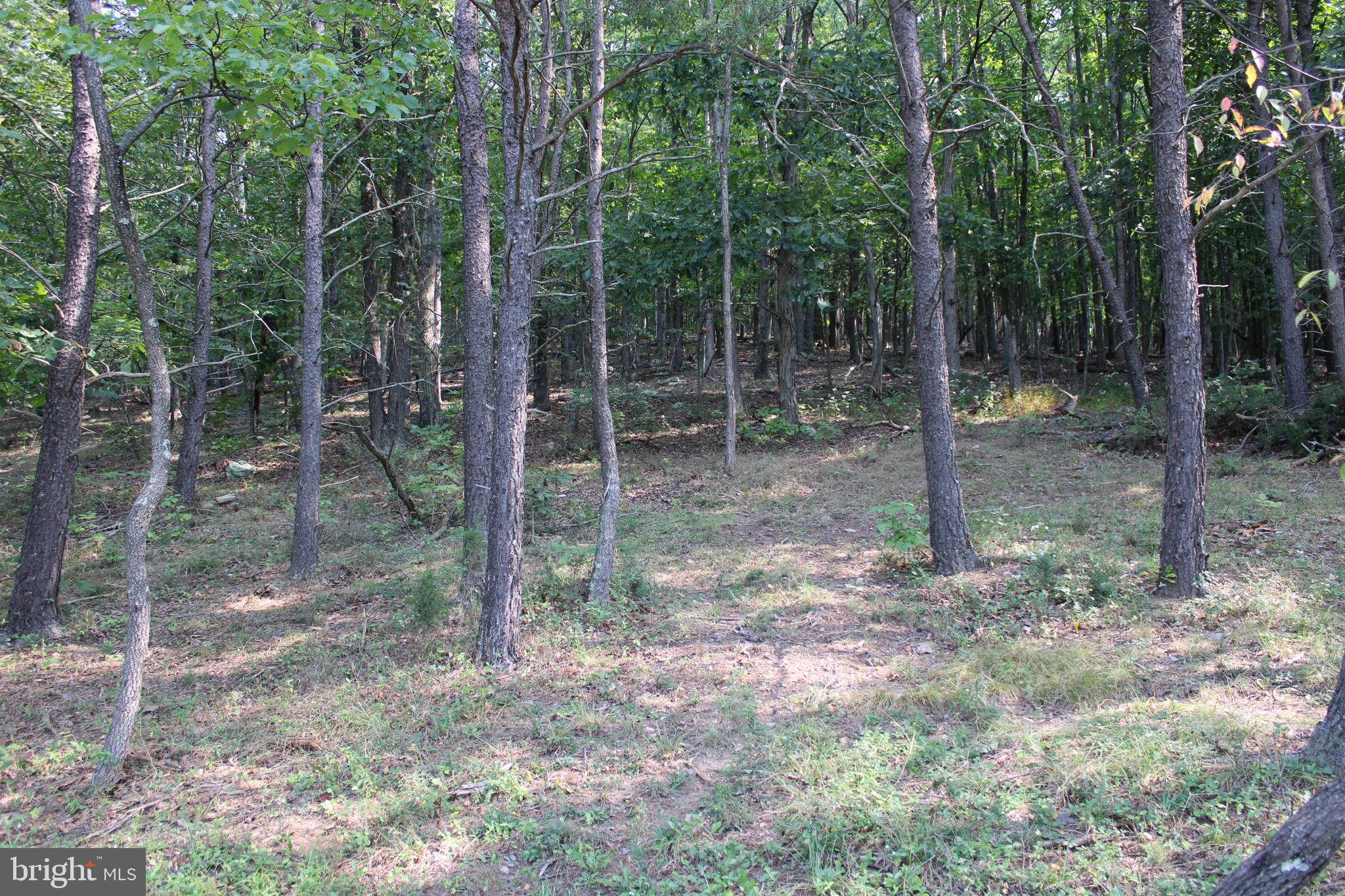 NONE AVAILABLE - Land