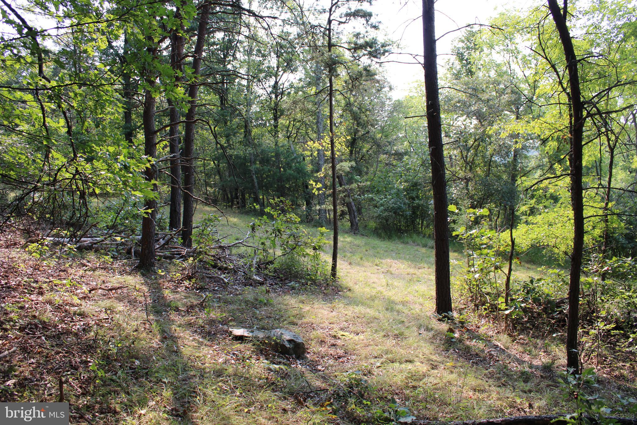 NONE AVAILABLE - Land