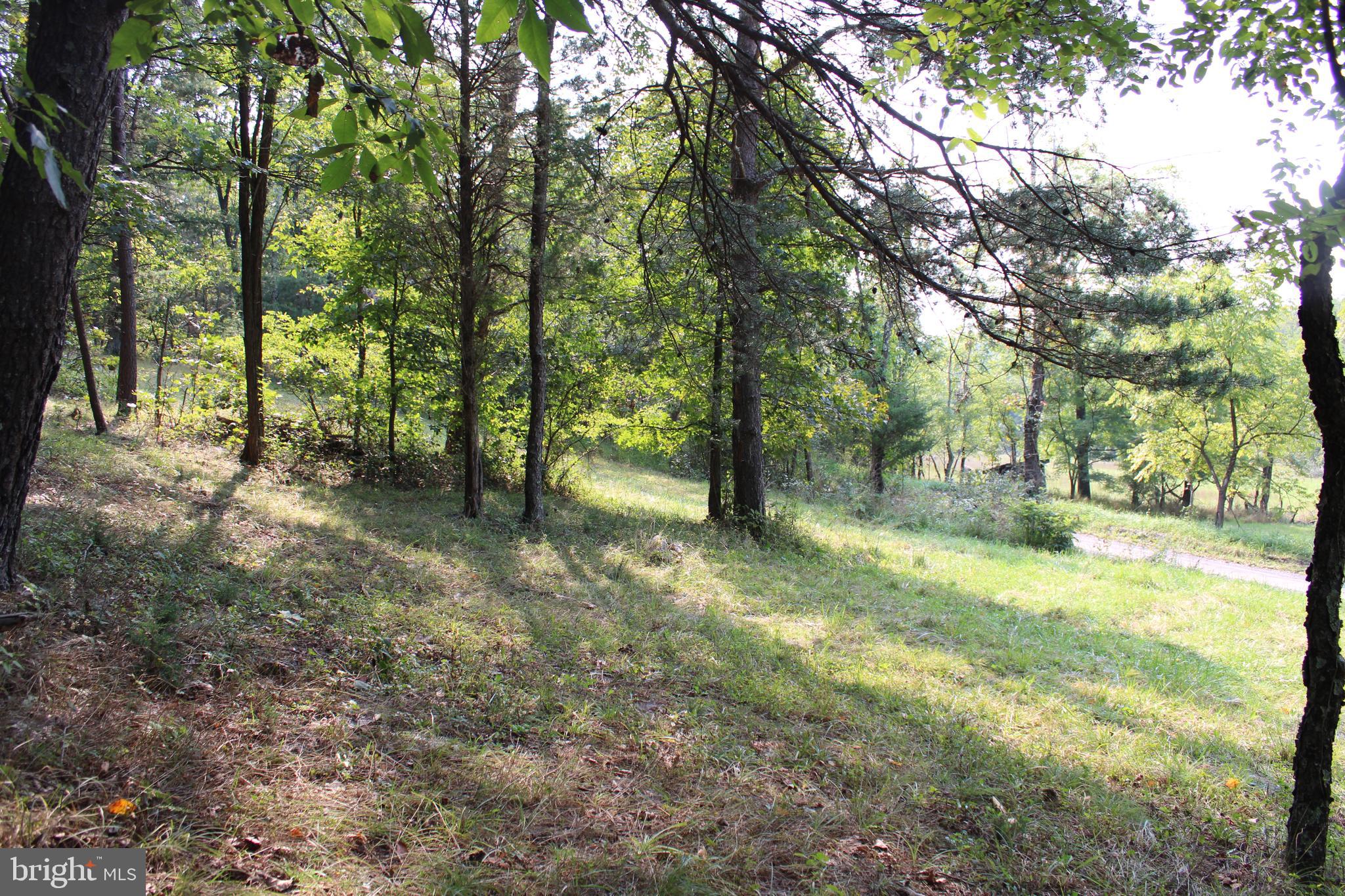 NONE AVAILABLE - Land