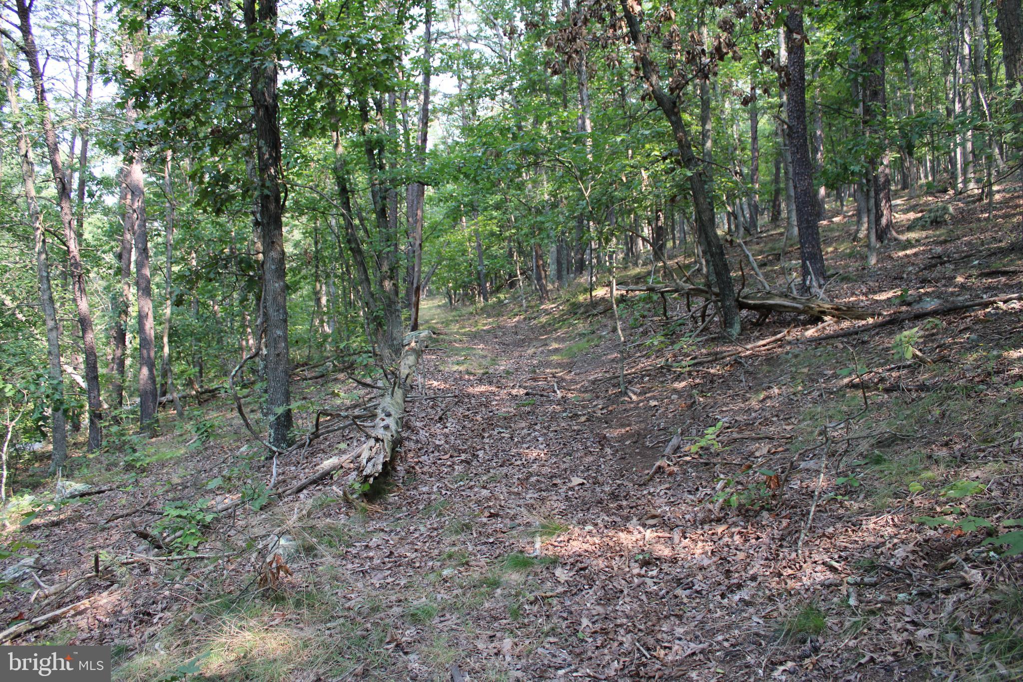 NONE AVAILABLE - Land