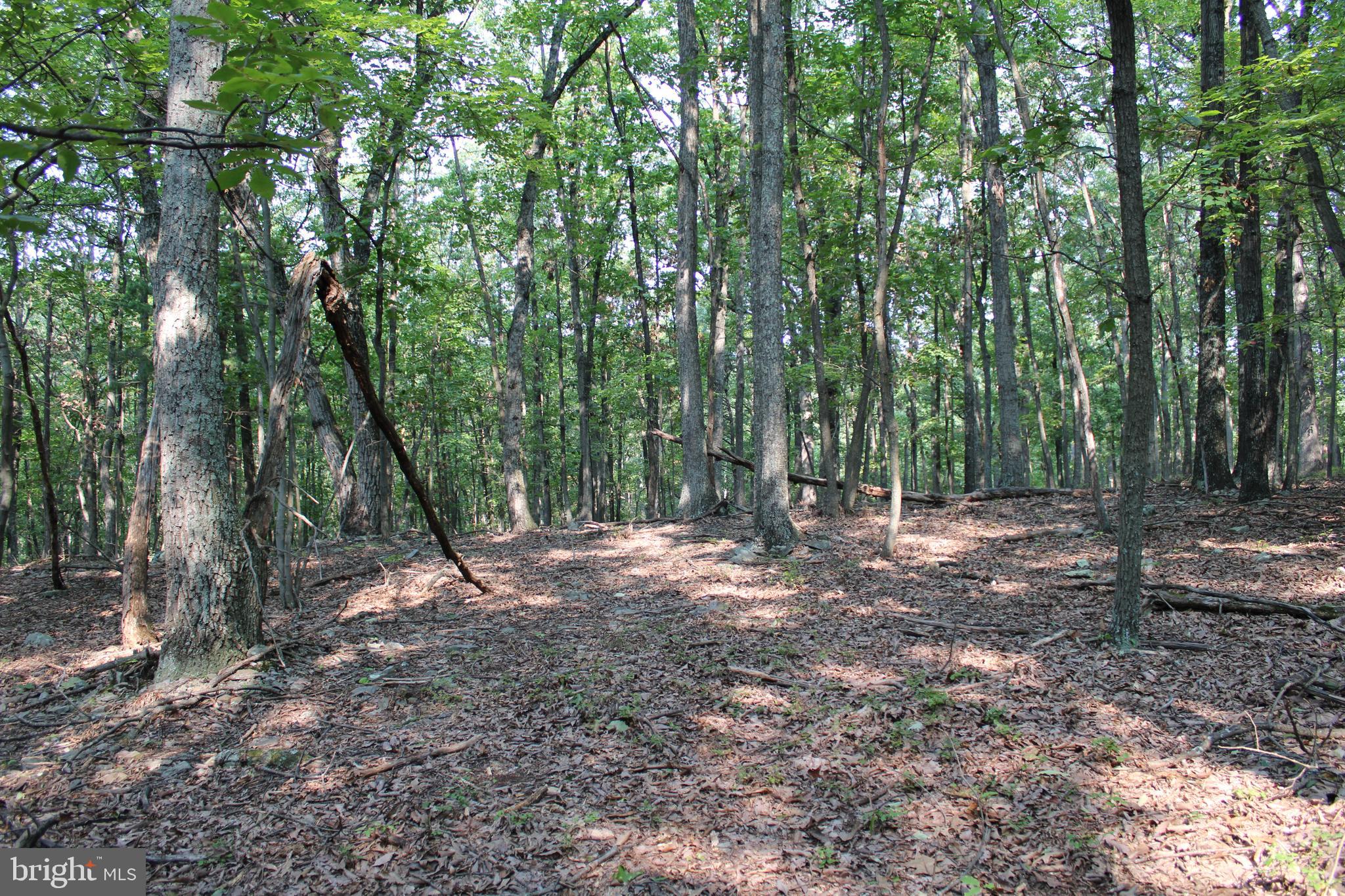 NONE AVAILABLE - Land