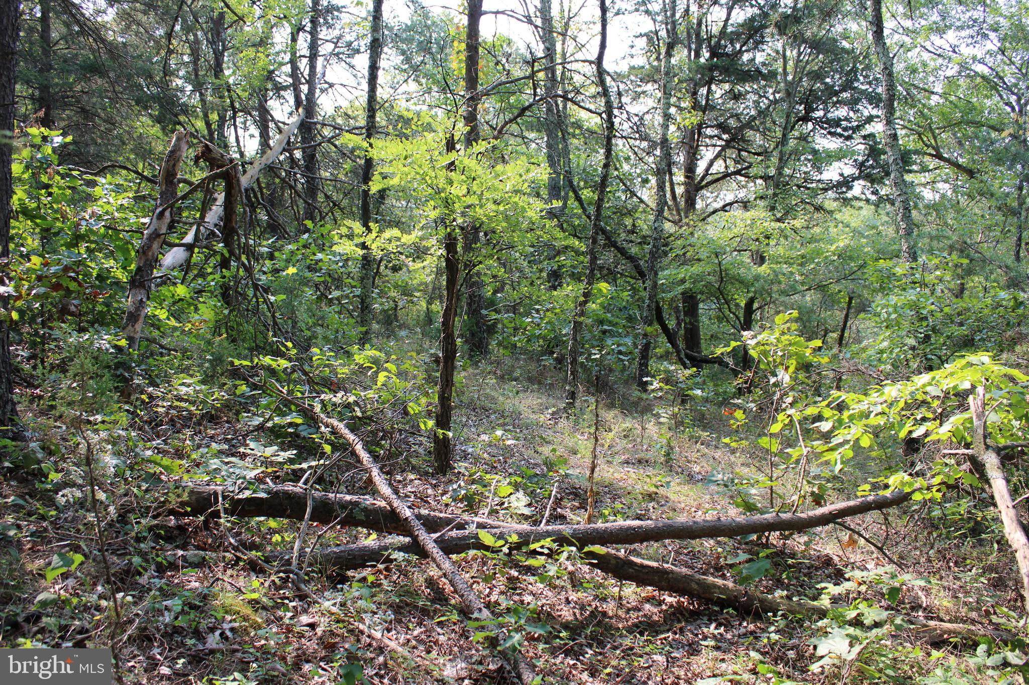 NONE AVAILABLE - Land