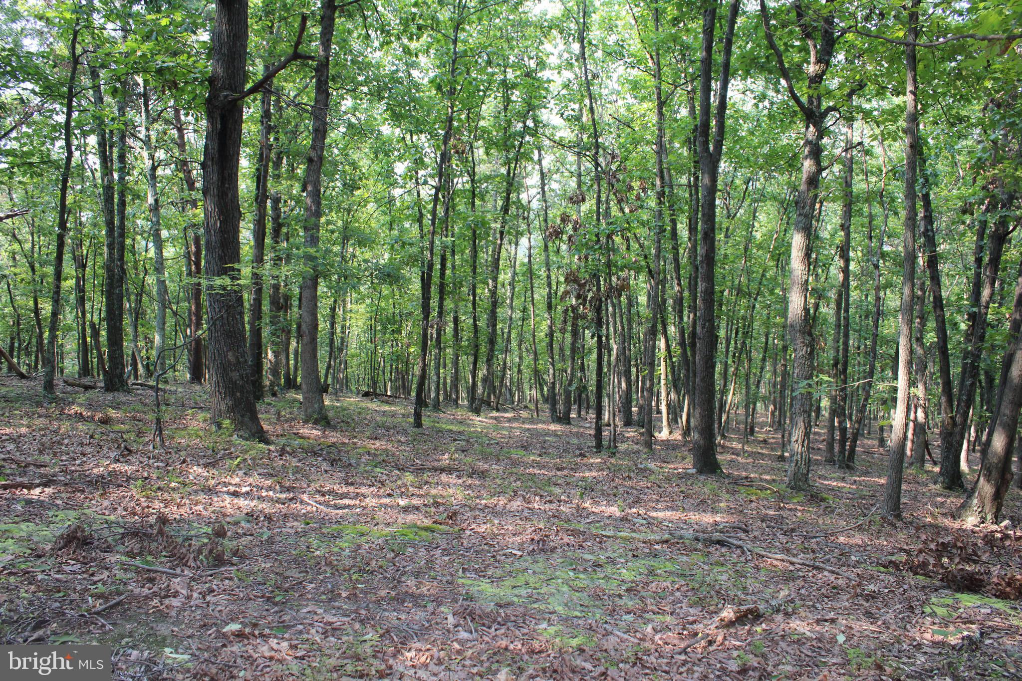 NONE AVAILABLE - Land