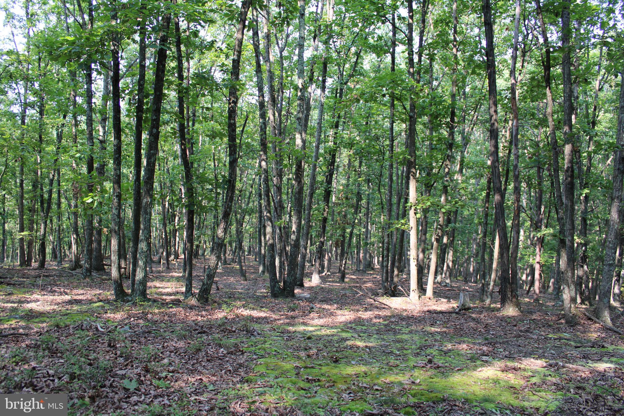 NONE AVAILABLE - Land