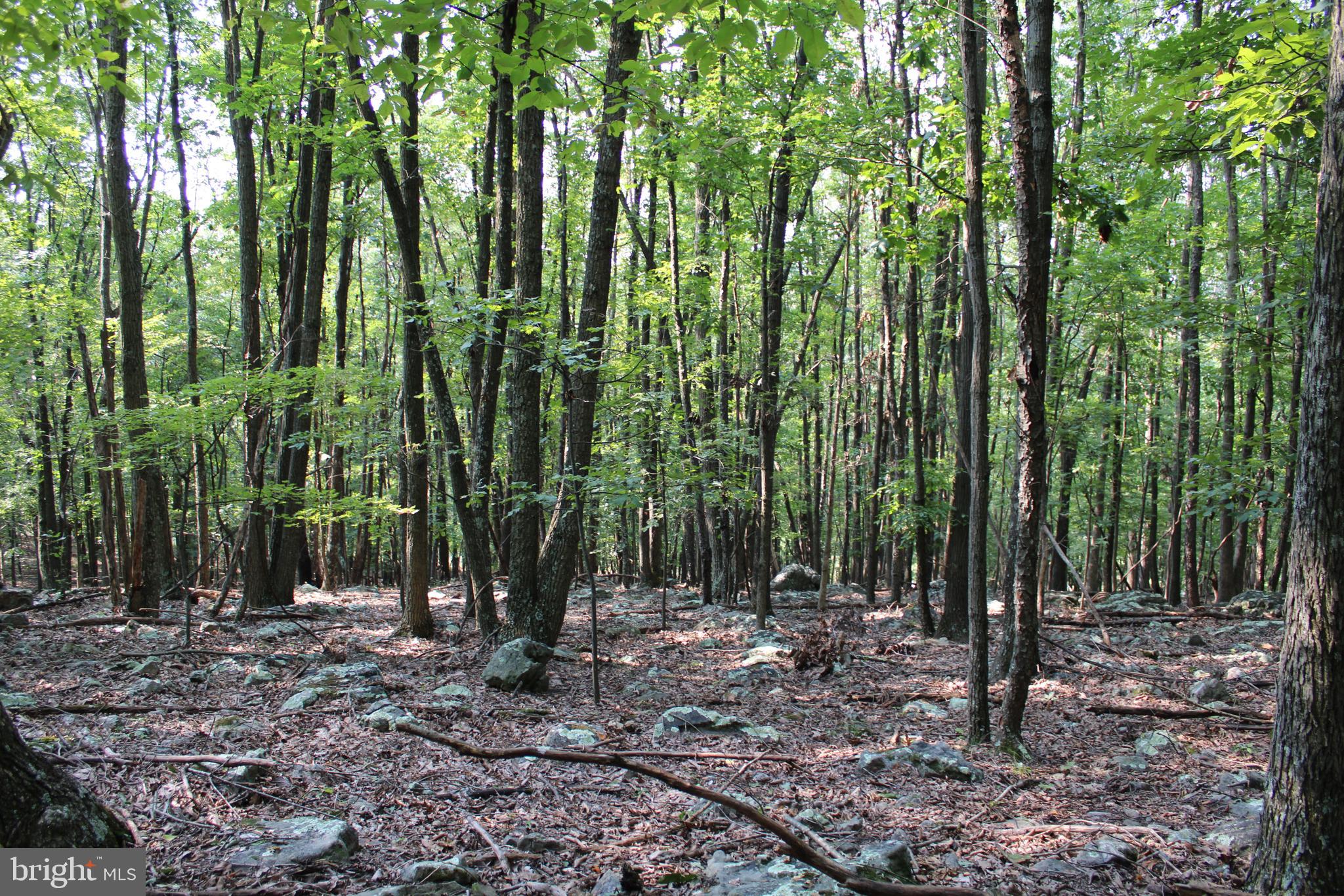 NONE AVAILABLE - Land