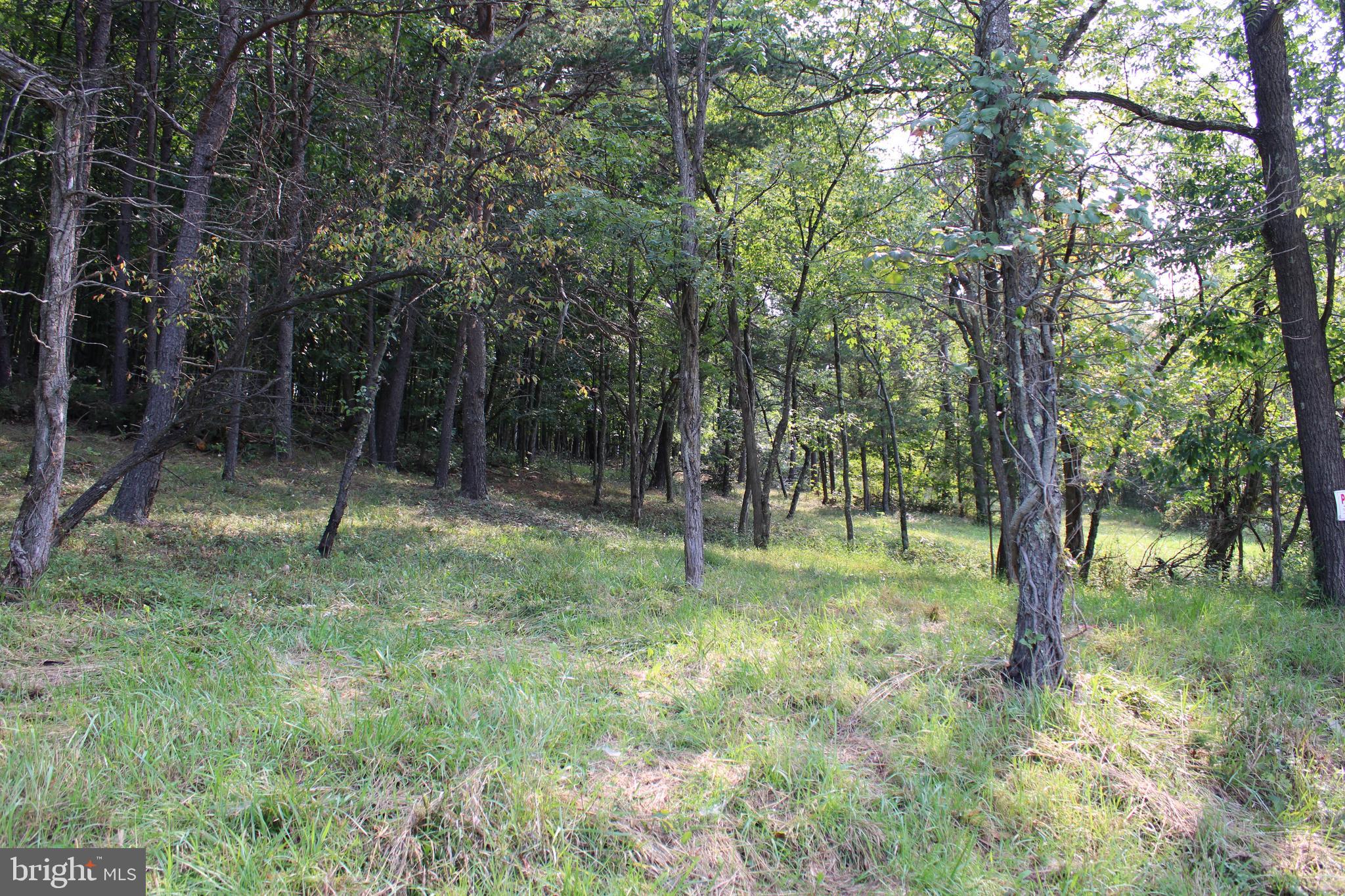 NONE AVAILABLE - Land