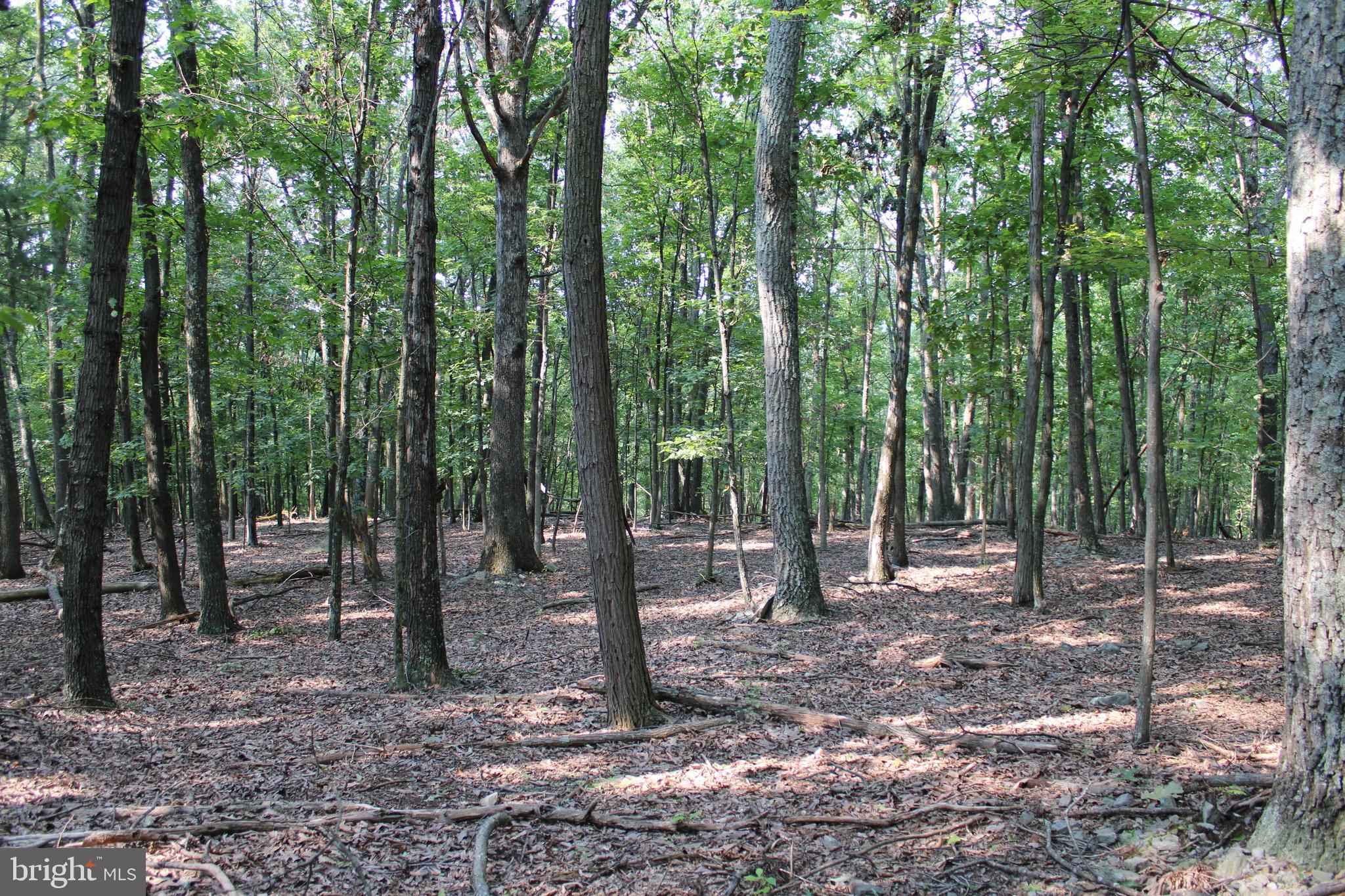 NONE AVAILABLE - Land