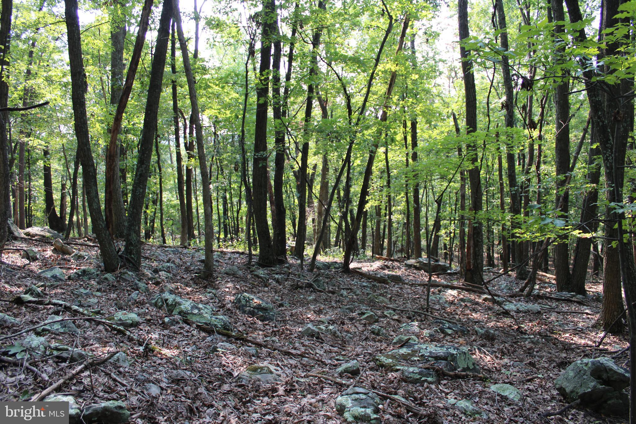 NONE AVAILABLE - Land