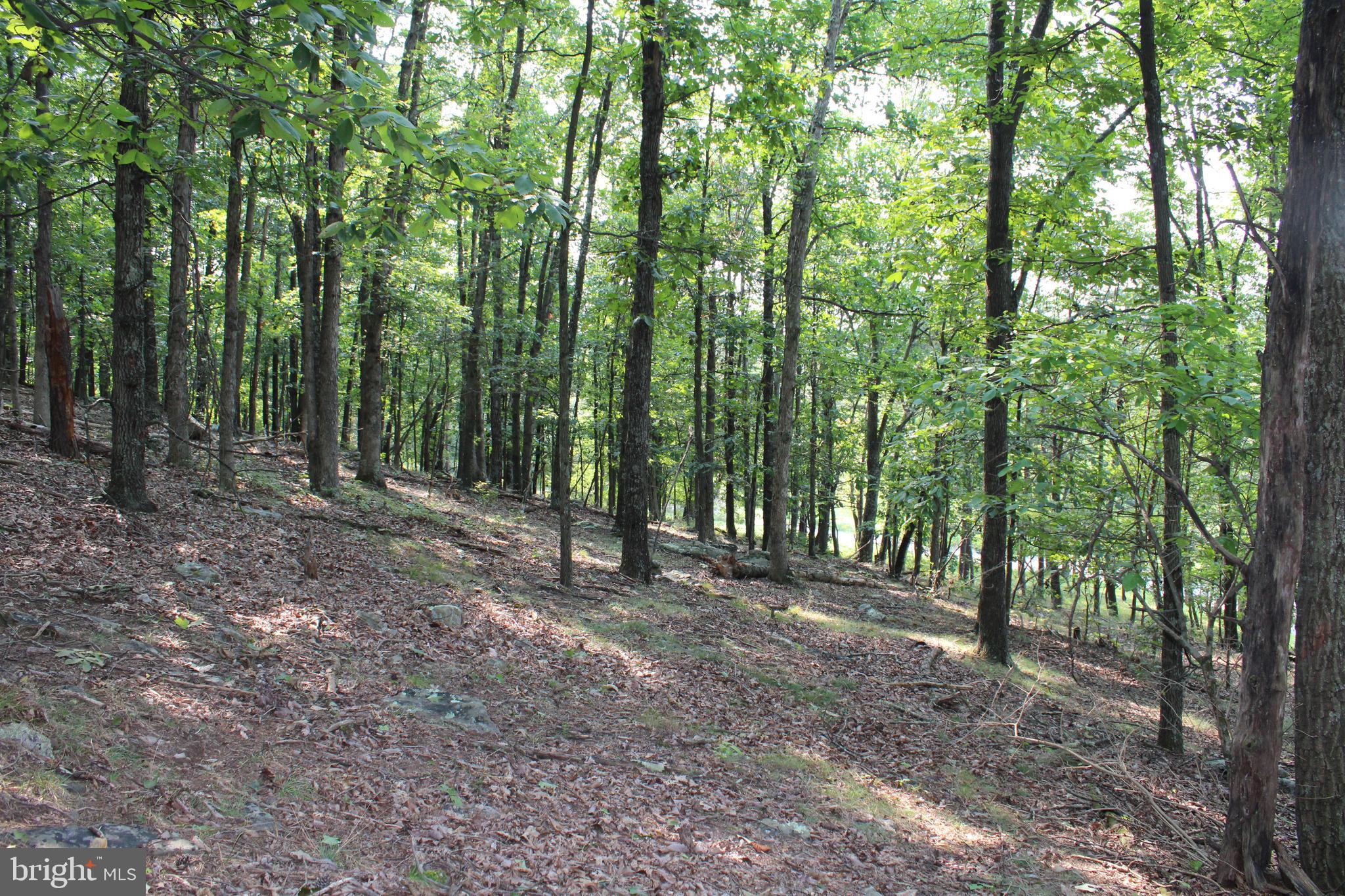 NONE AVAILABLE - Land