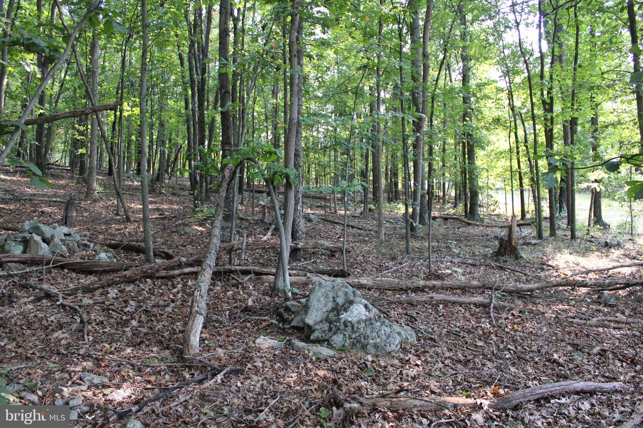 NONE AVAILABLE - Land