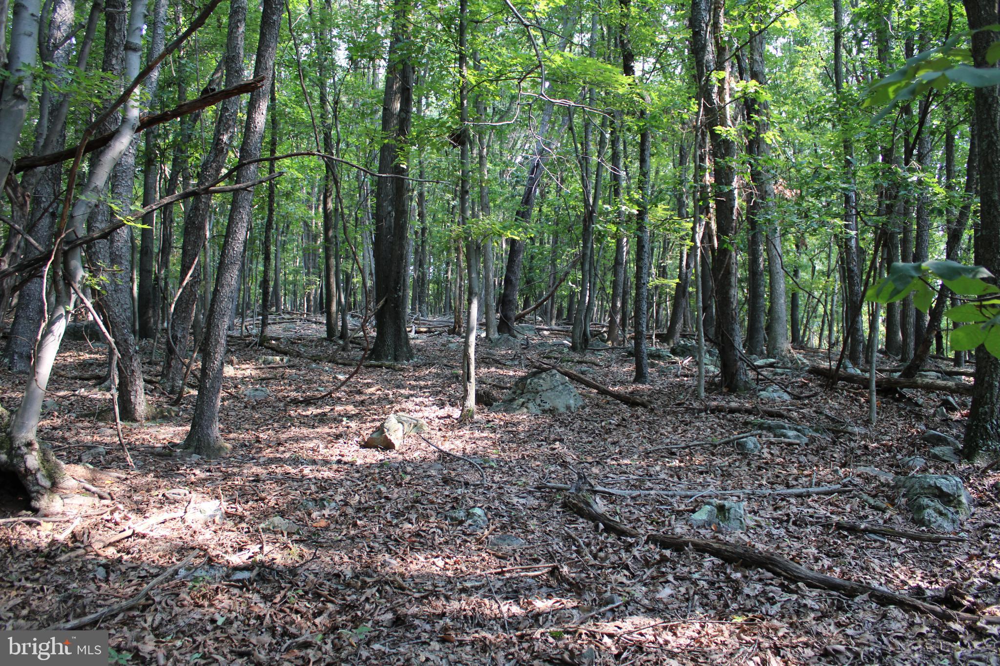 NONE AVAILABLE - Land