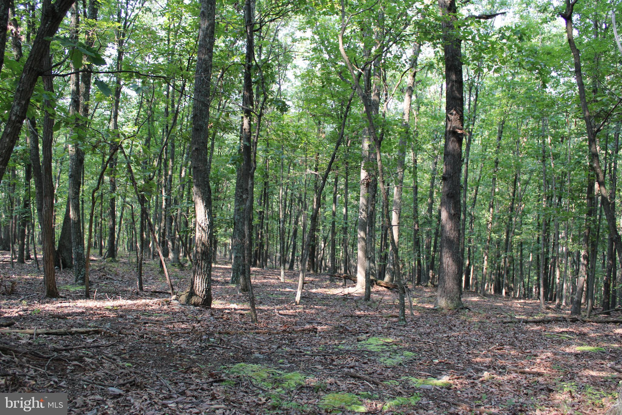 NONE AVAILABLE - Land