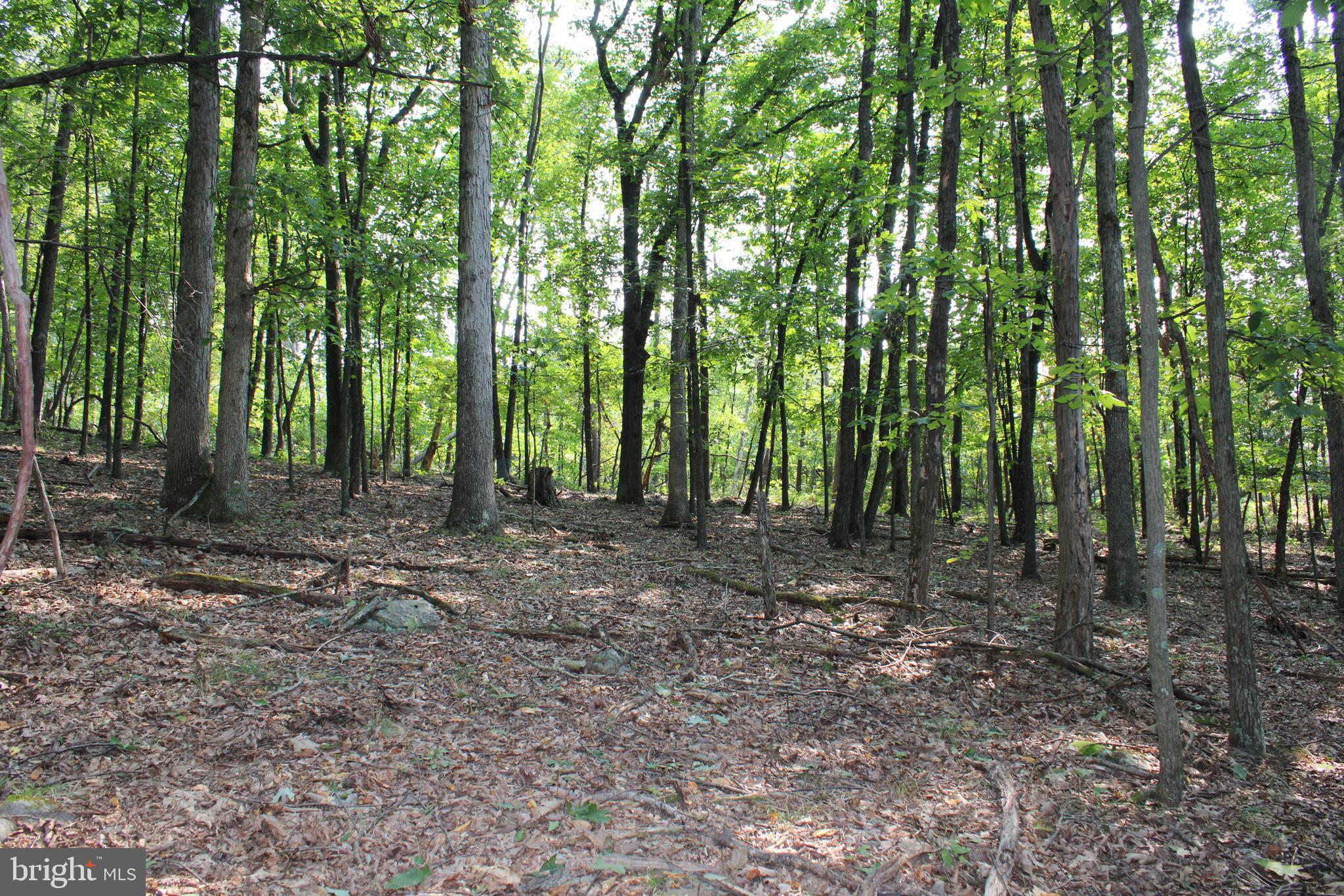 NONE AVAILABLE - Land