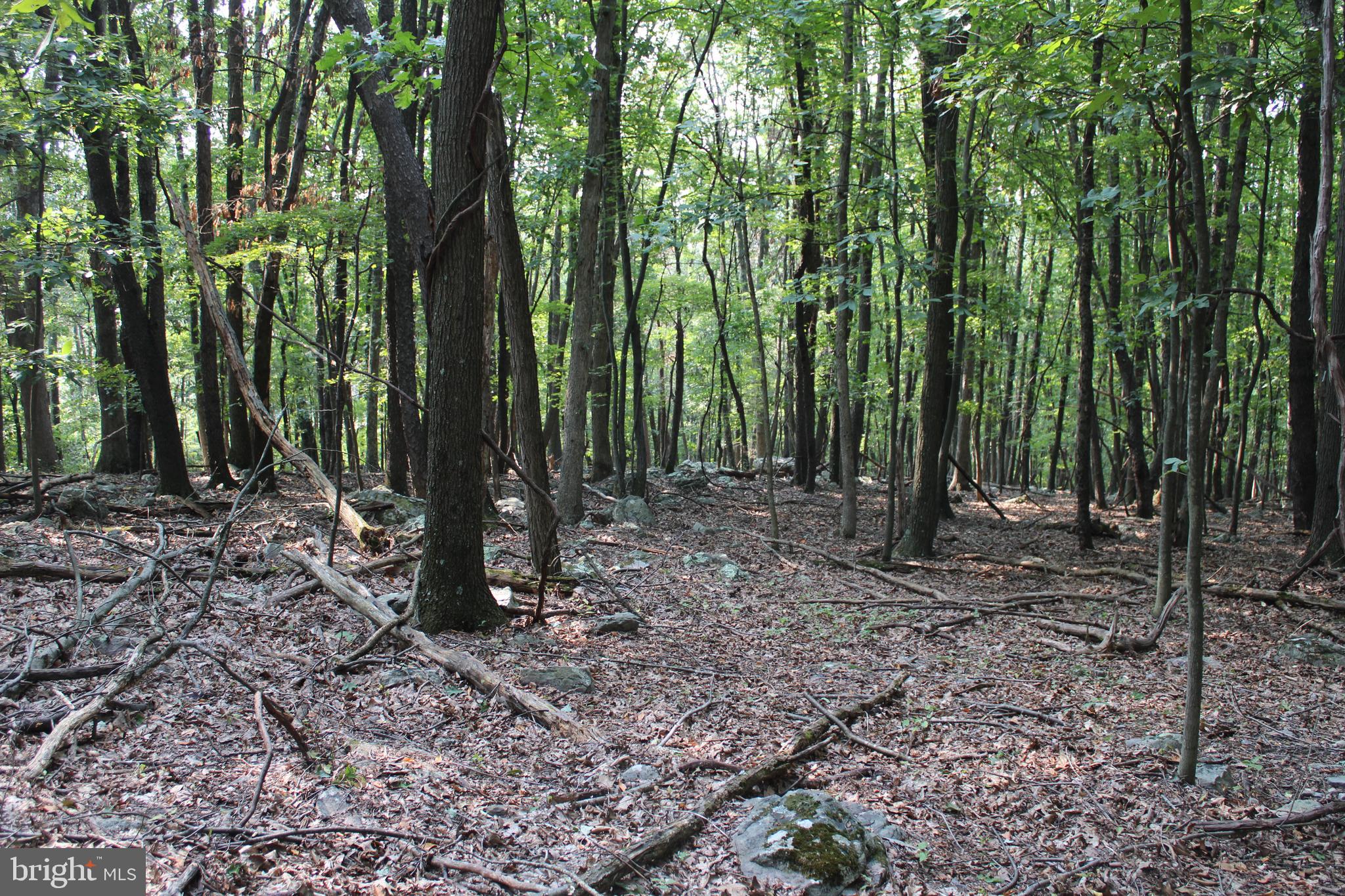 NONE AVAILABLE - Land