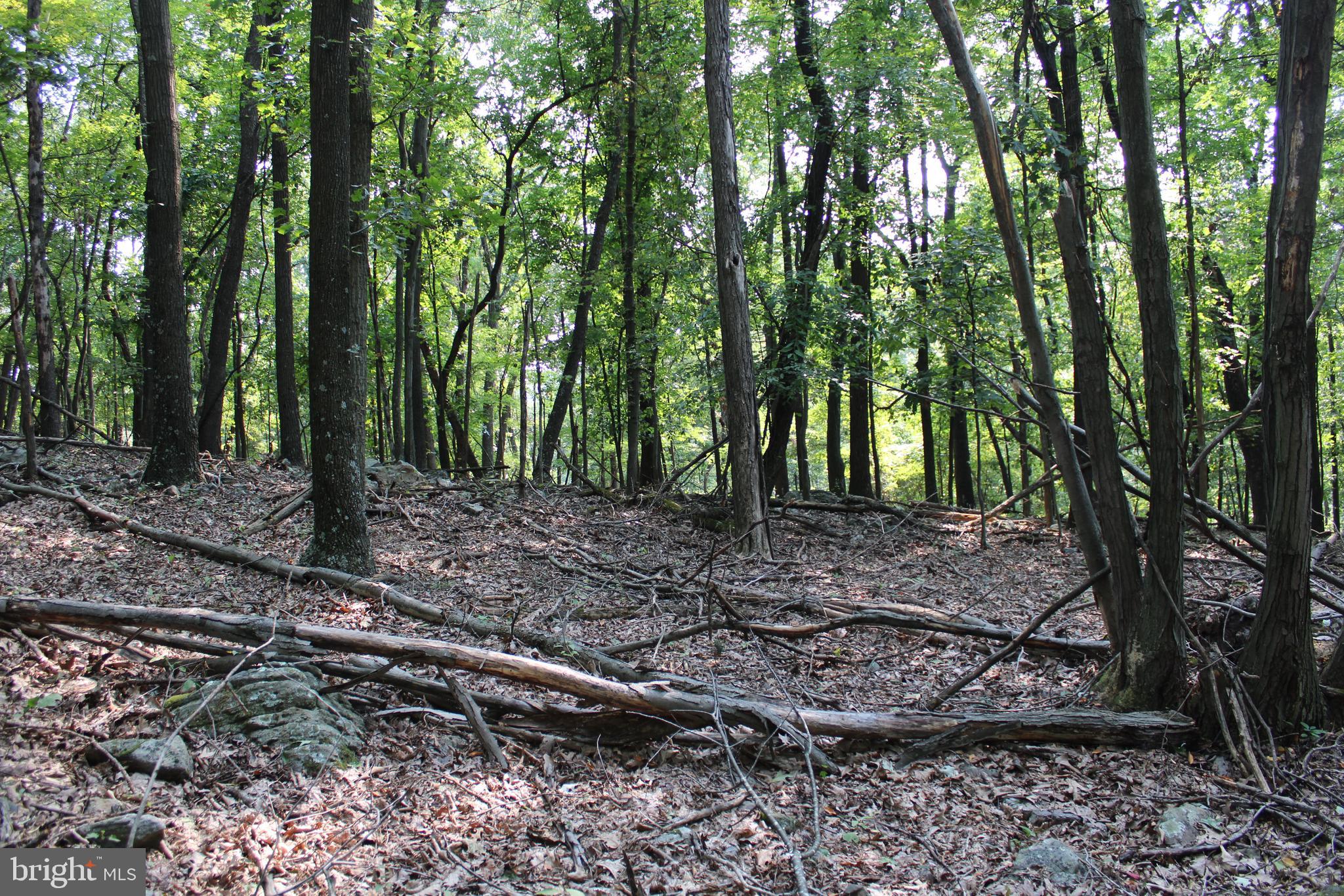 NONE AVAILABLE - Land