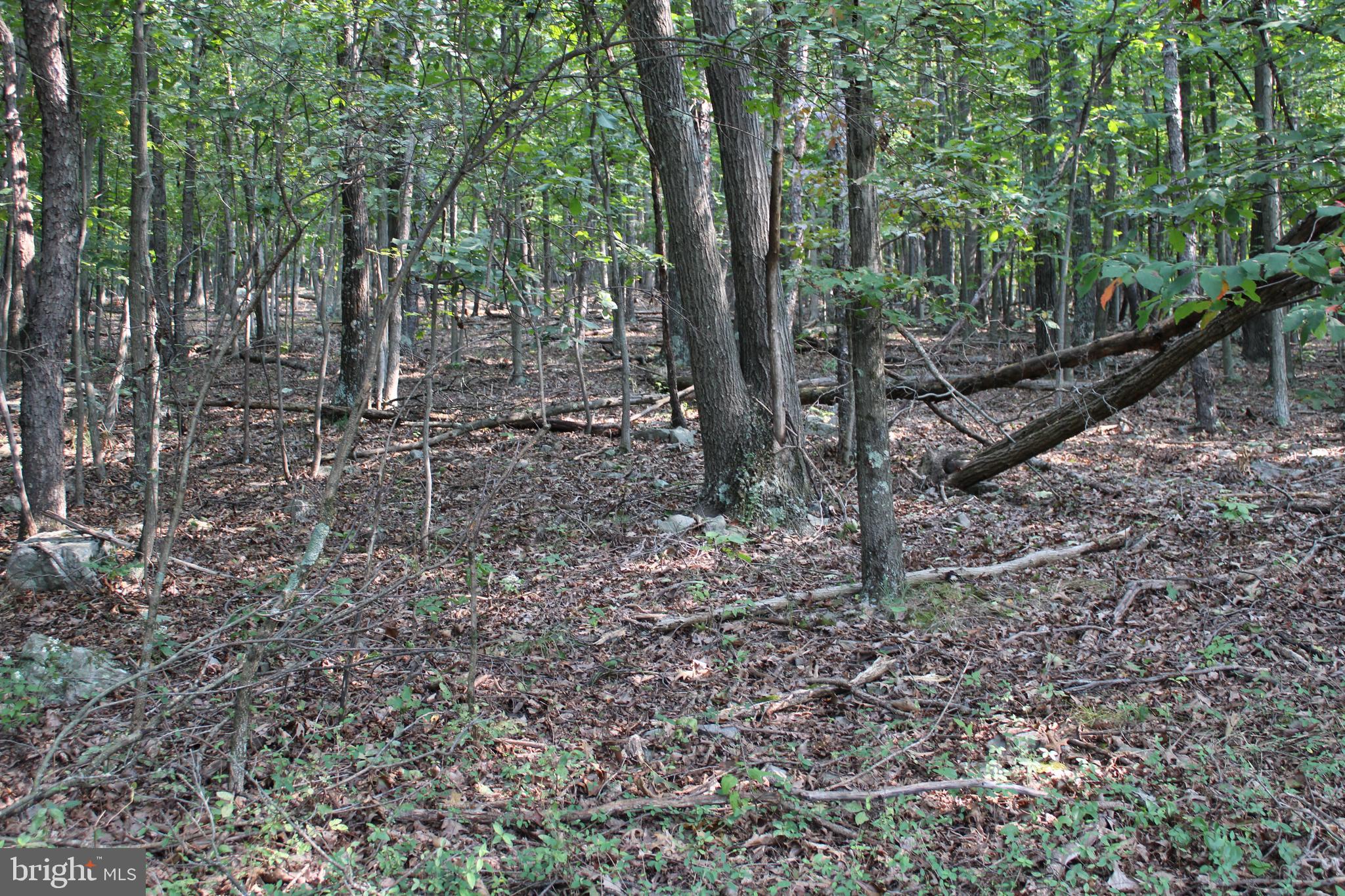 NONE AVAILABLE - Land