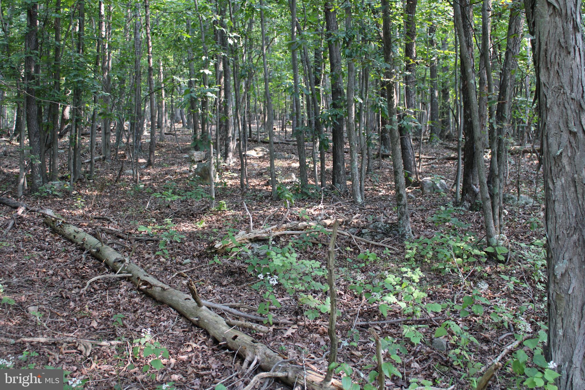 NONE AVAILABLE - Land