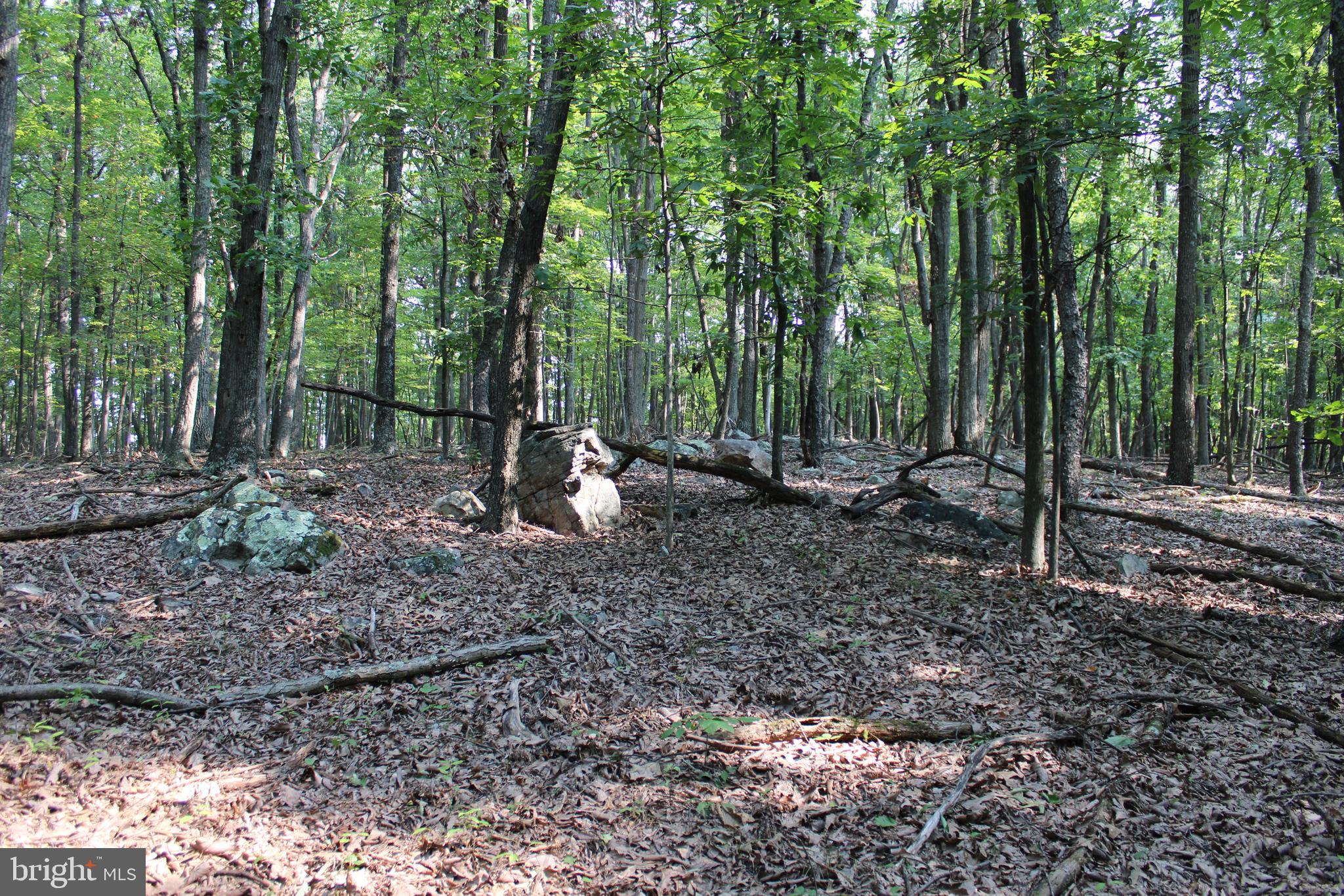 NONE AVAILABLE - Land