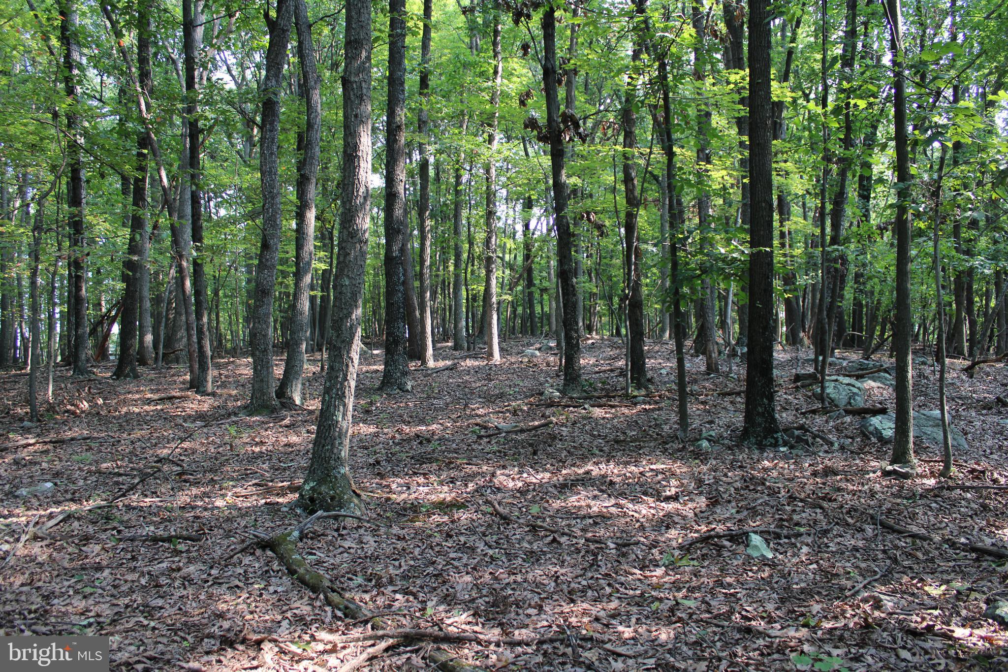 NONE AVAILABLE - Land