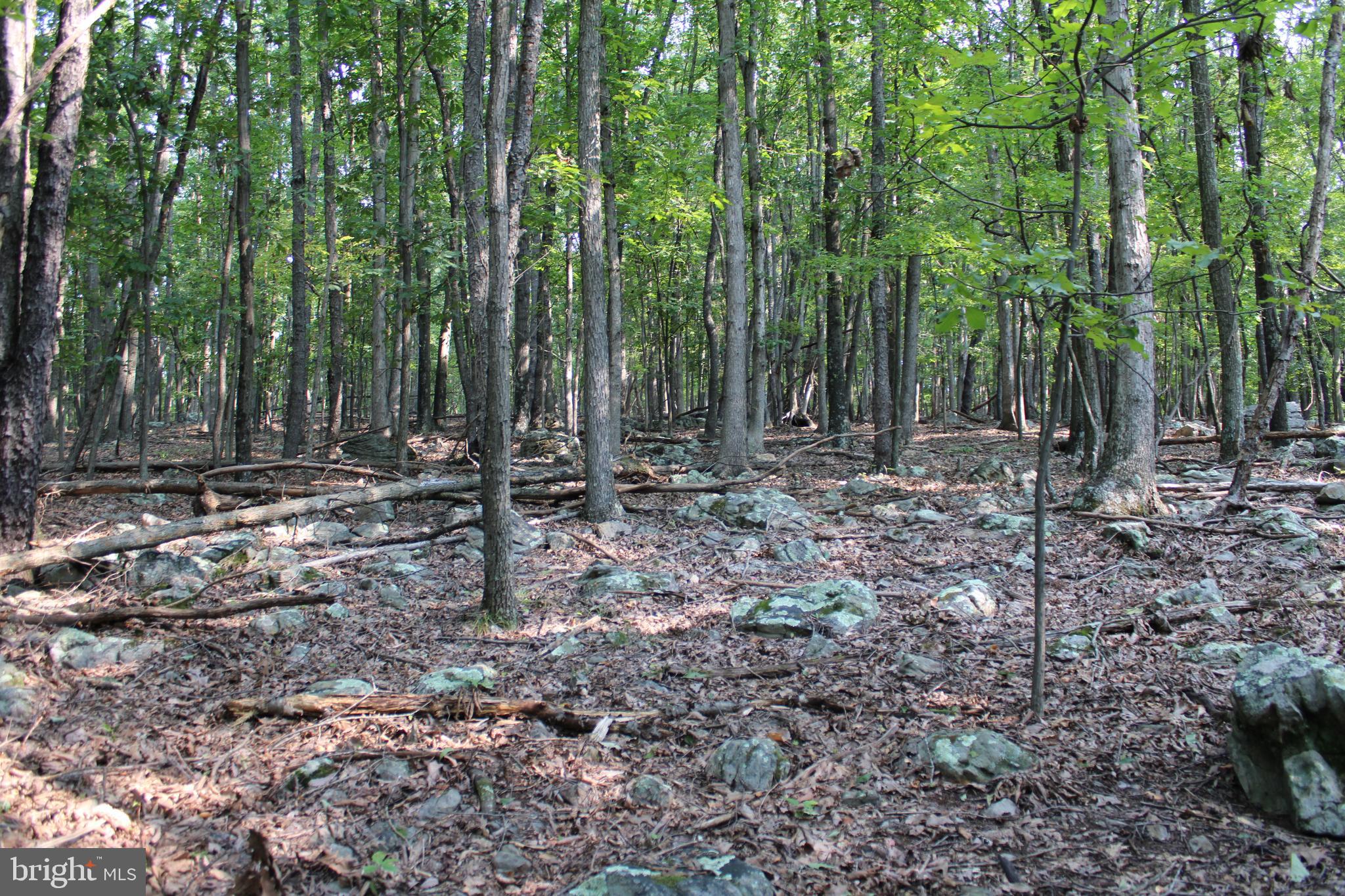 NONE AVAILABLE - Land