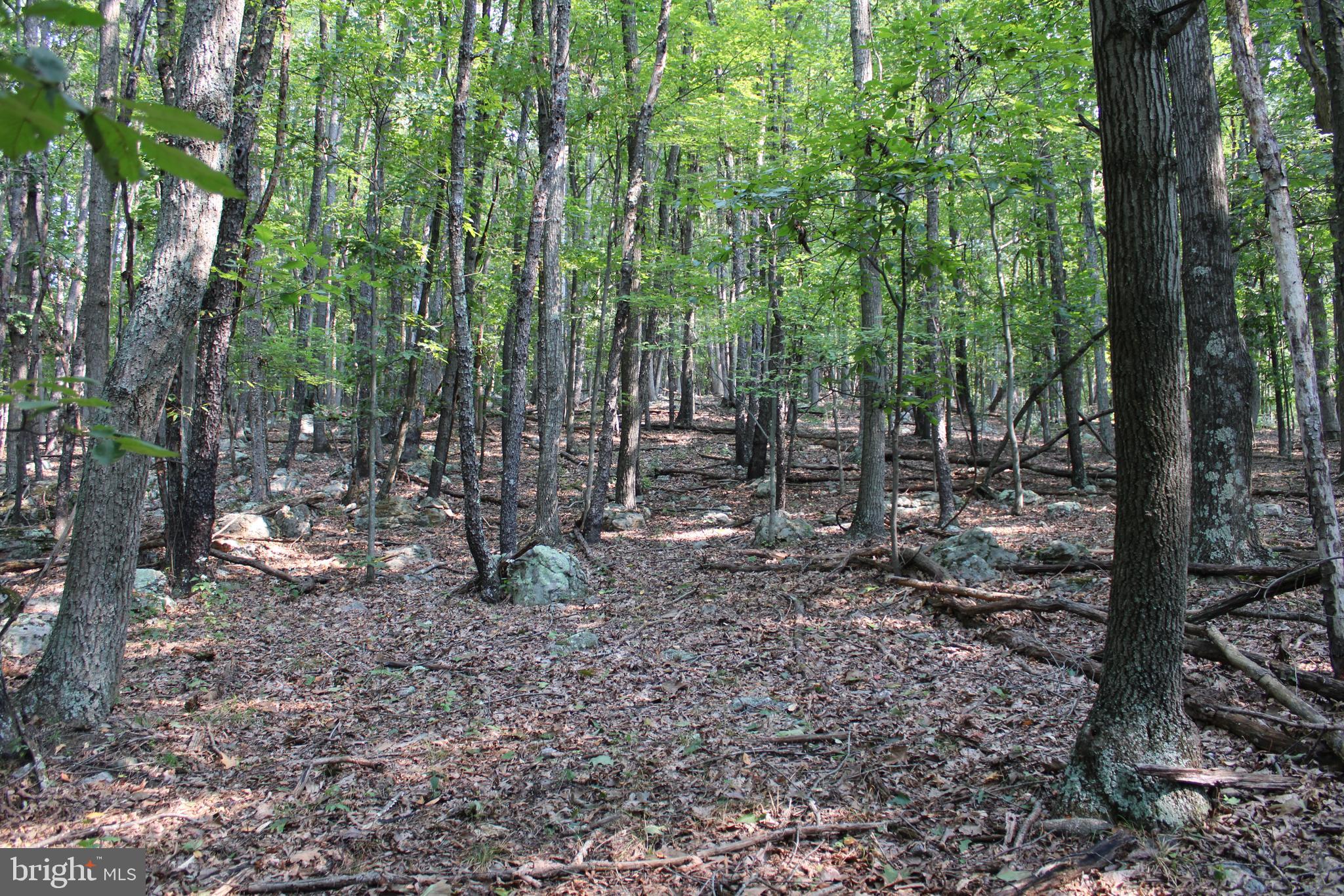 NONE AVAILABLE - Land