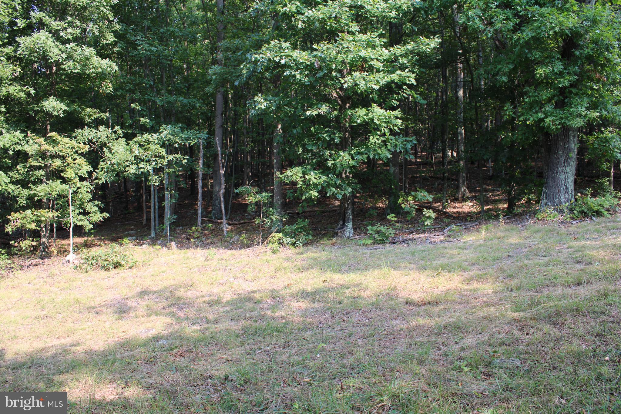 NONE AVAILABLE - Land