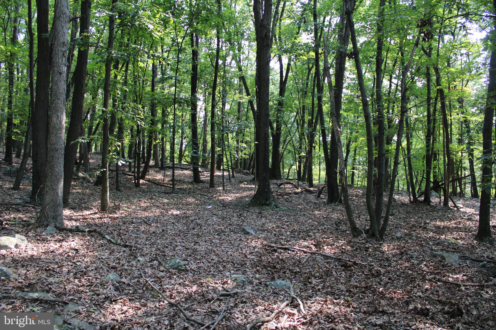 NONE AVAILABLE - Land