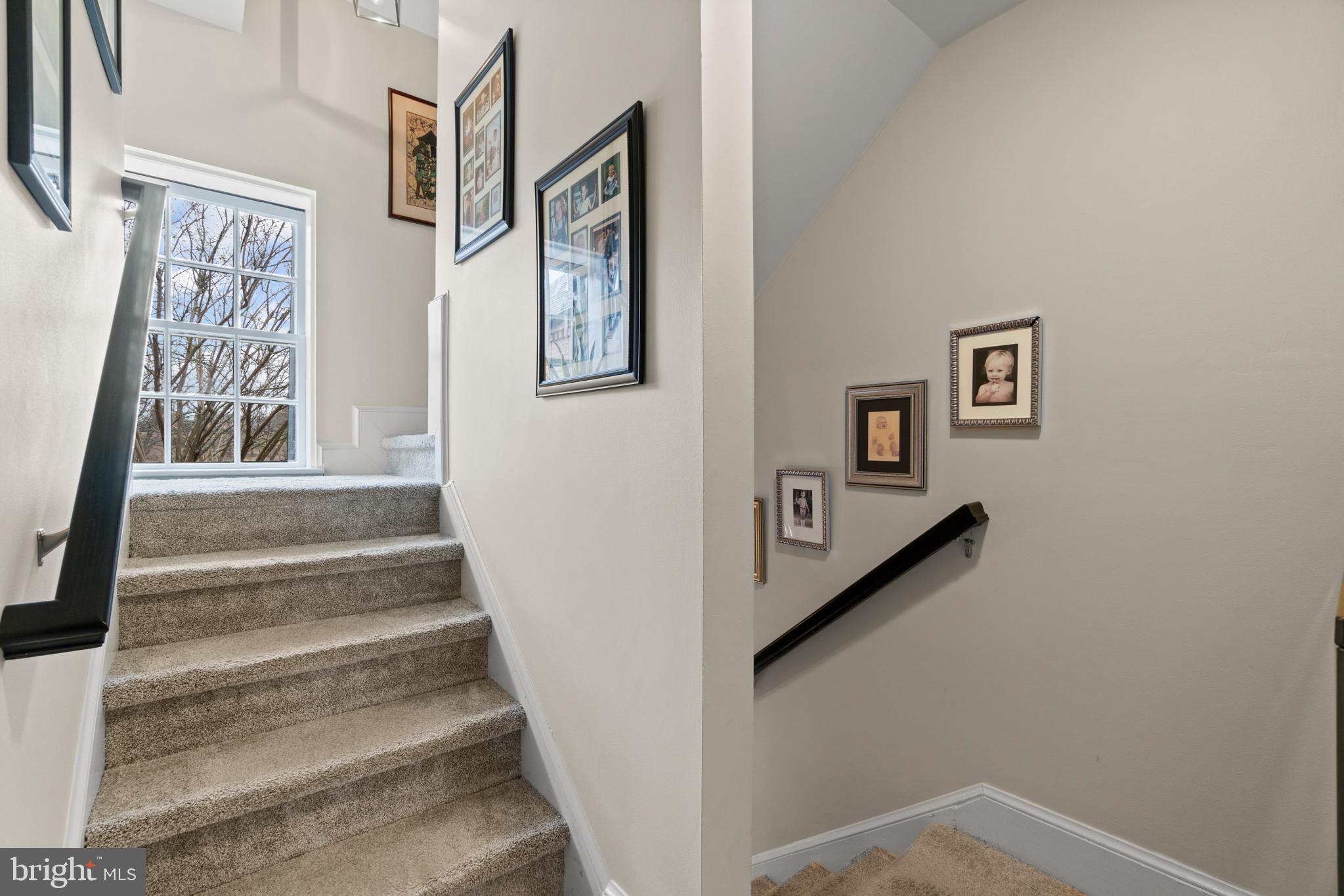 MARY WASHINGTON SQUARE - Residential