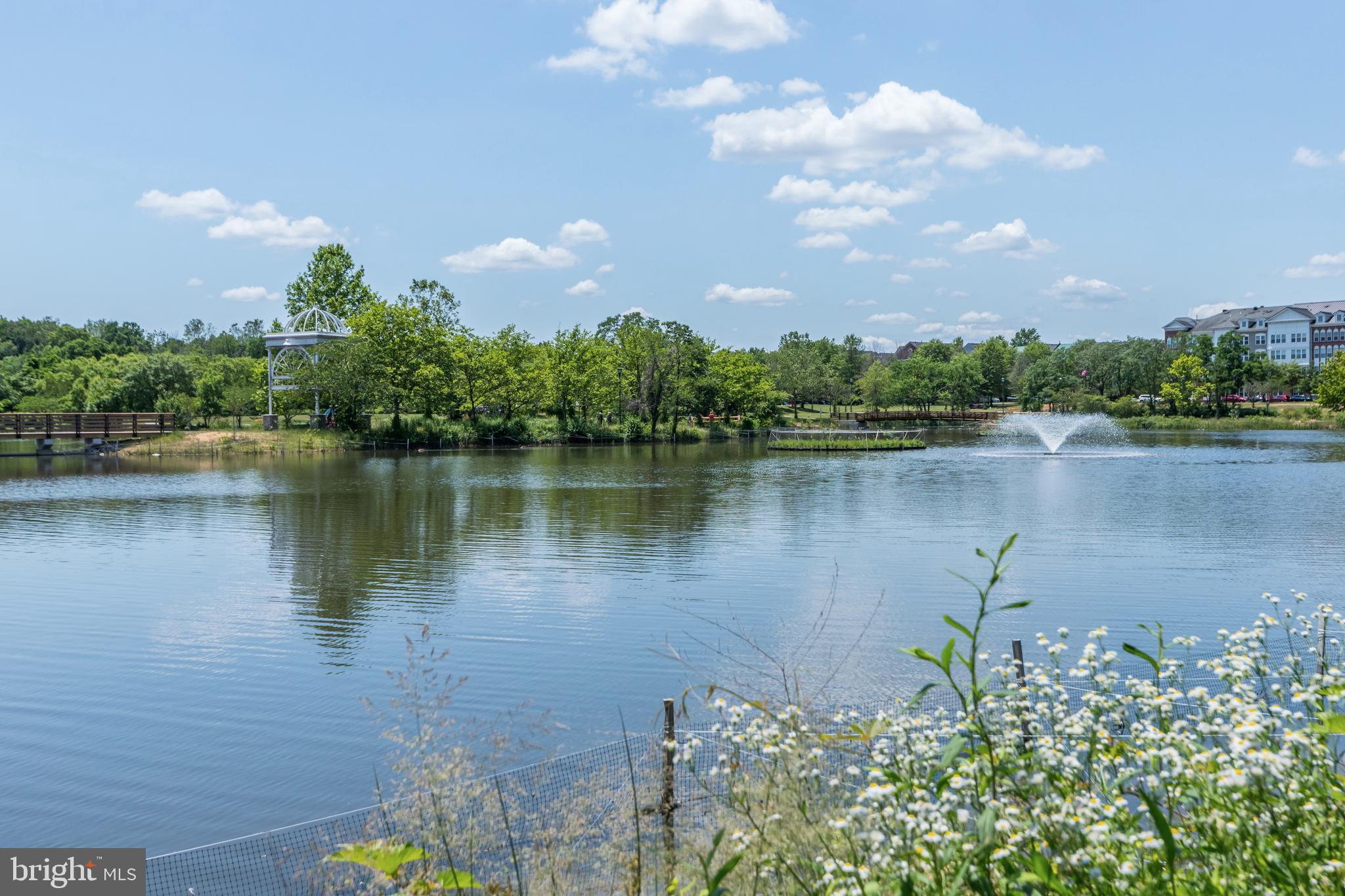 CAMERON STATION - Residential Lease