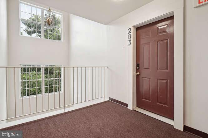 18705 SPARKLING WATER DRIVE 203