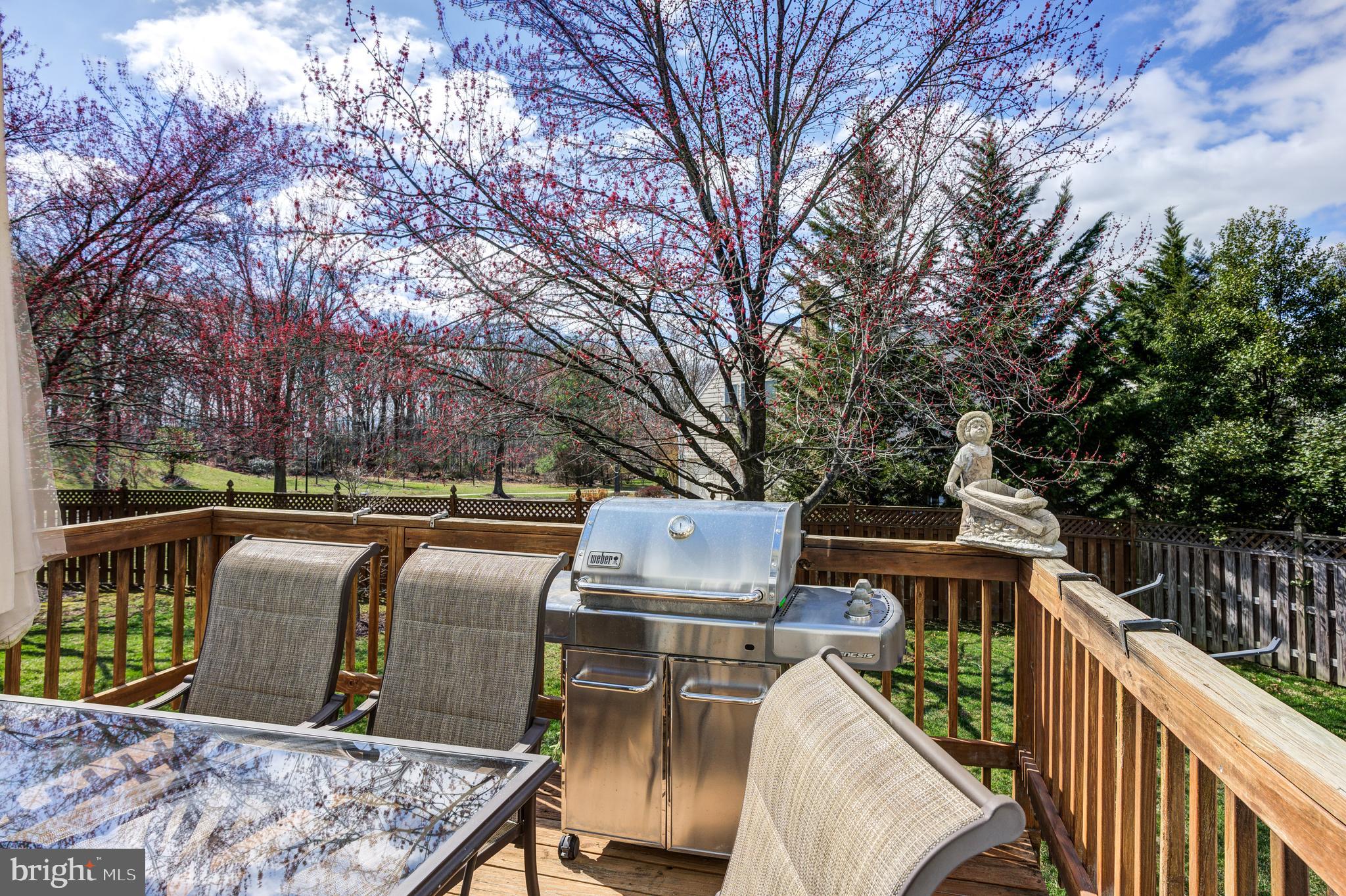 BIG PINES VILLAGE - Residential