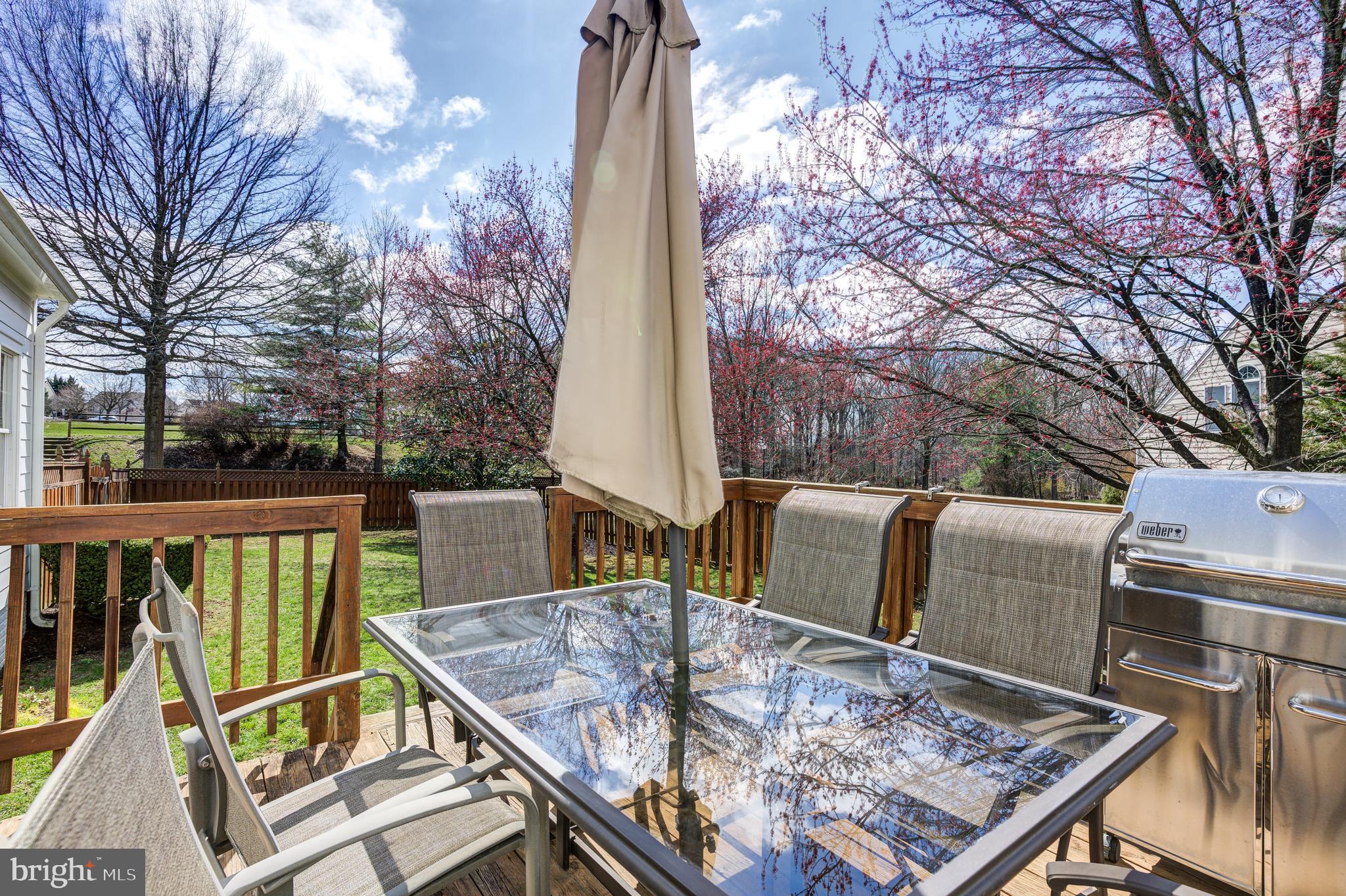 BIG PINES VILLAGE - Residential