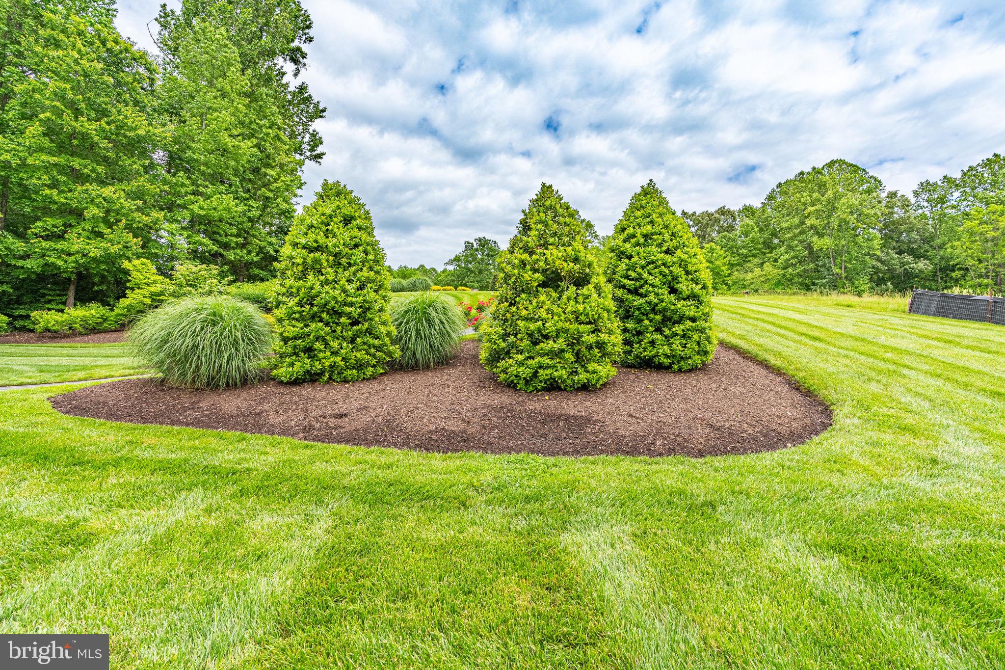 THE VINEYARD - Residential