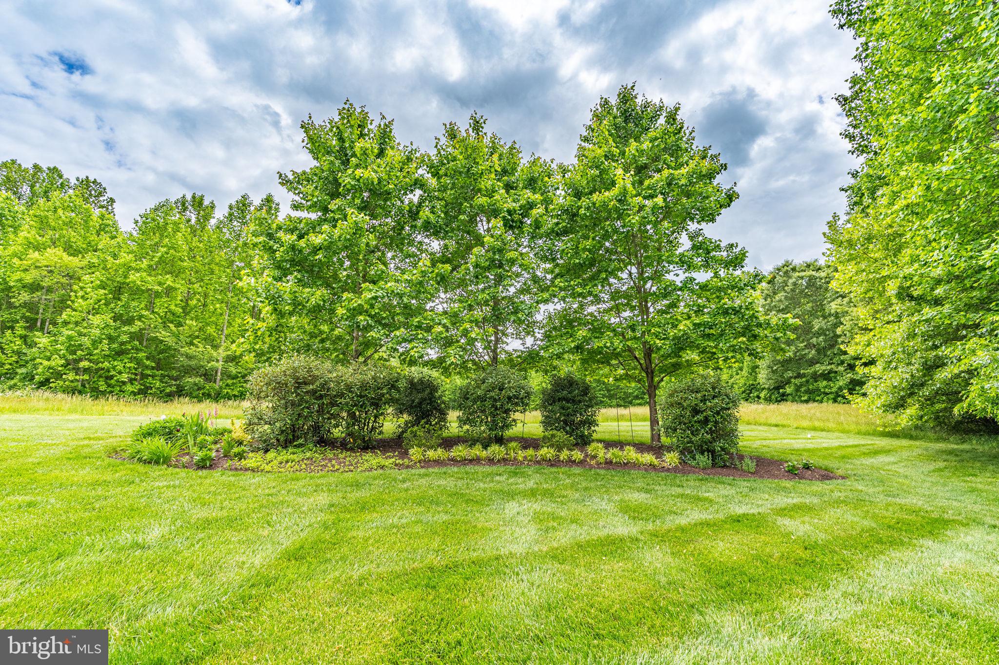 THE VINEYARD - Residential