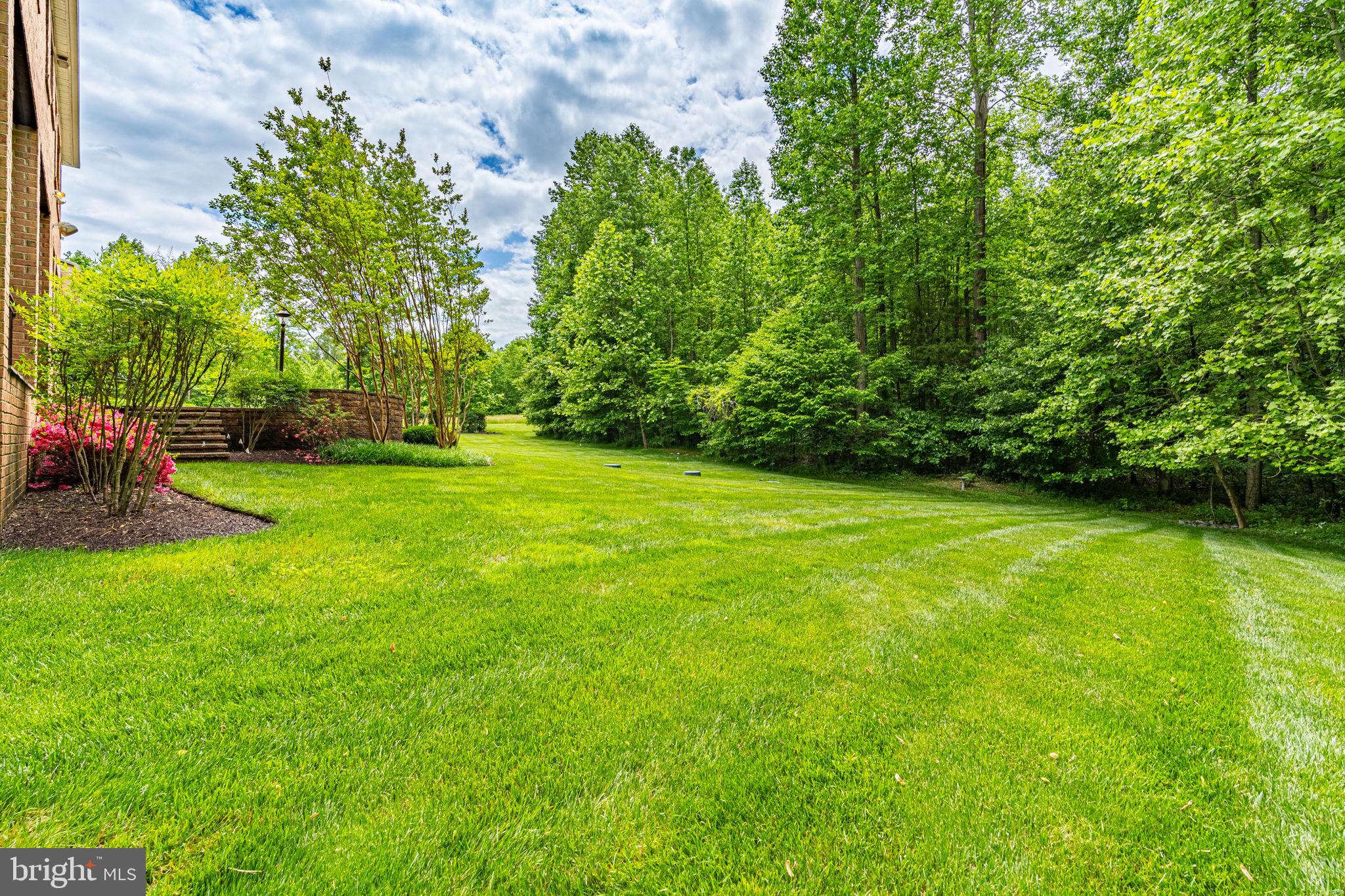 THE VINEYARD - Residential