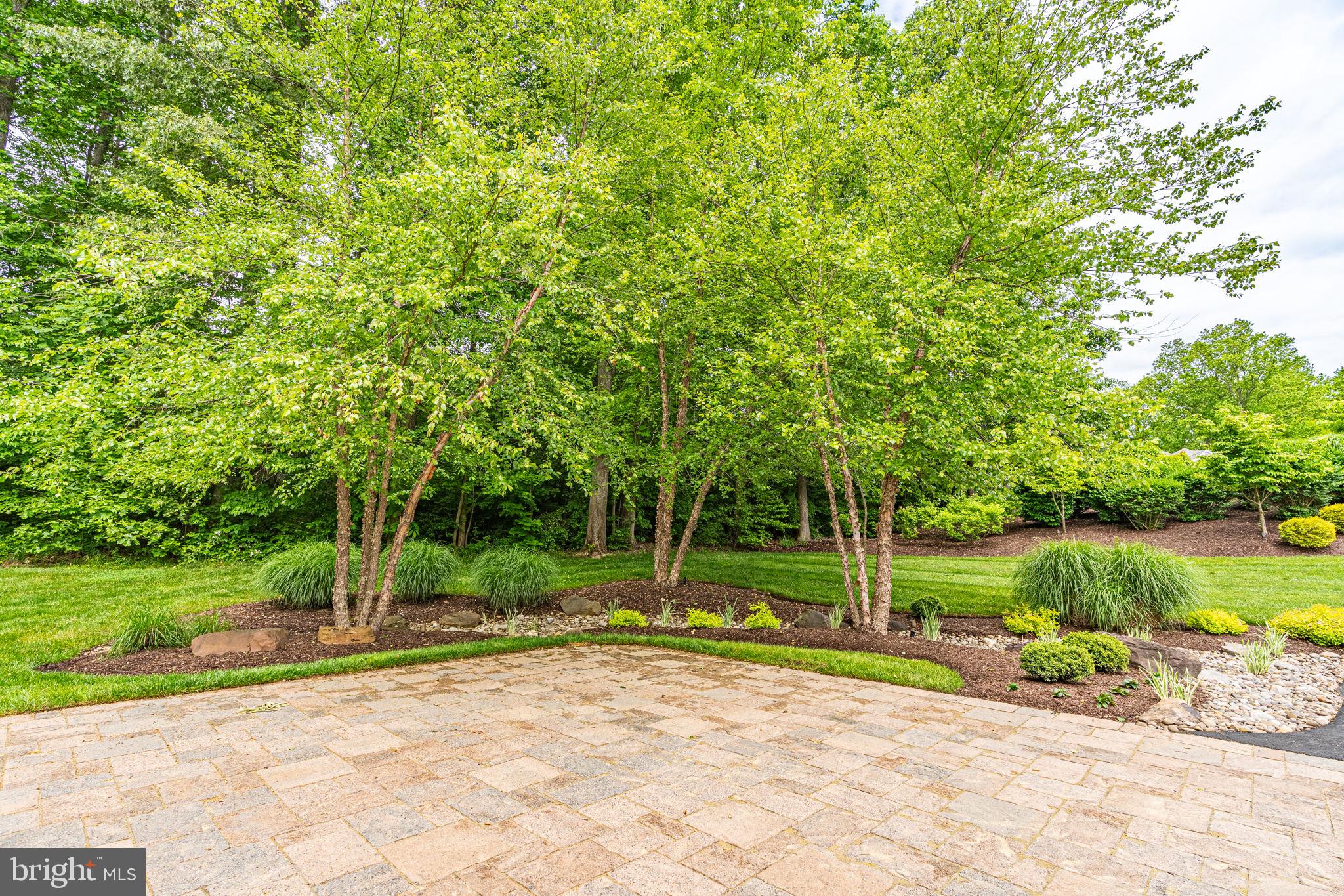 THE VINEYARD - Residential