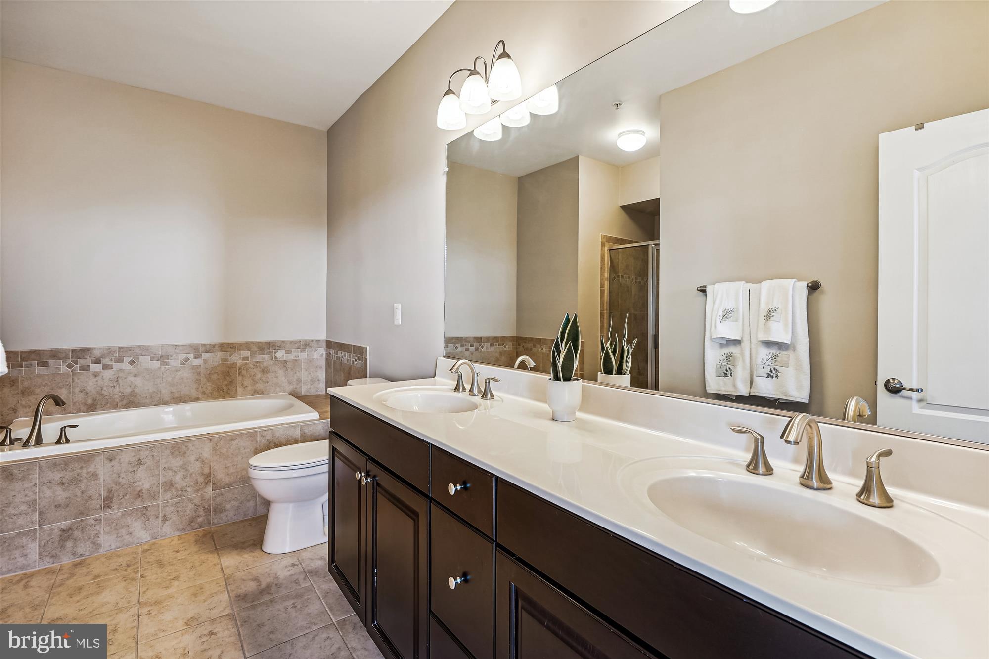 PRESERVE AT GOOSE CREEK - Residential