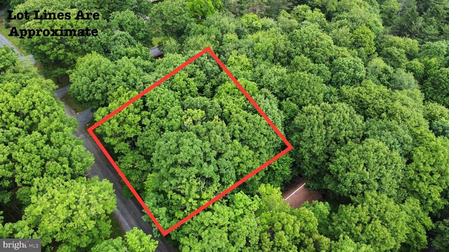 .46 acre building lot in the Sky Valley Community! Approved for 3-bedroom home, this level build-site lot is mostly wooded and located towards the center of the community. Enjoy the many Sky Valley amenities like the private beach, swimming dock, lakefront pavilions, fishing pond, and community boat ramp. Build your dream home today! Call for more information.