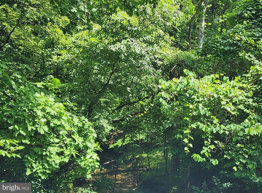 11.23 acres of wooded, raw land conveniently located in Hedgesville, WV - between Berkeley Springs (Town of Bath) and Martinsburg.  Parcel is located along a state maintained, paved road approximately 30 minutes from Martinsburg - interstate, shopping, medical facilities; and under 30 minutes from downtown Berkeley Springs with local dining, shops, and spas.  Small creek/stream runs through property - see GIS image.