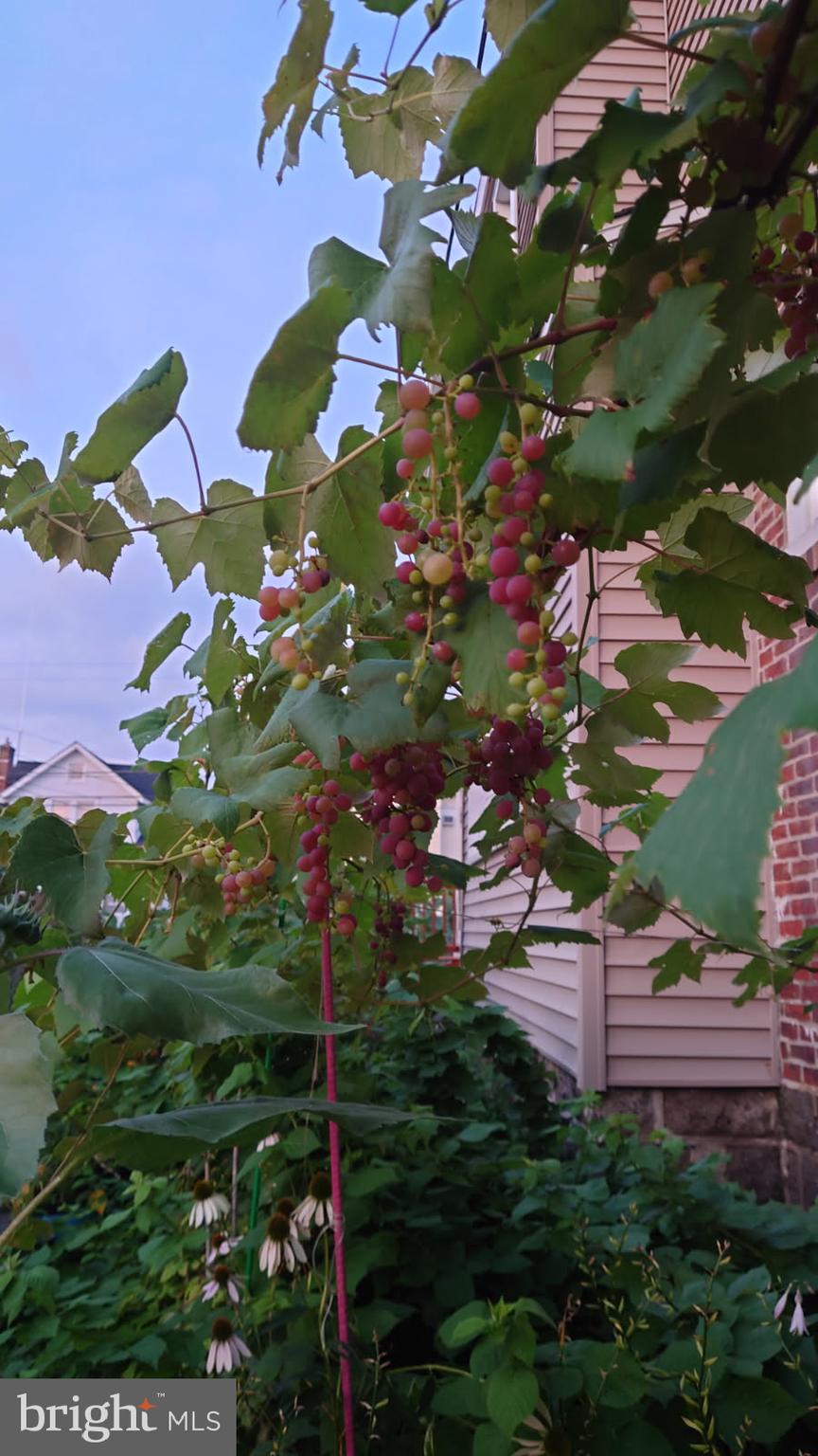 ACHEY LANE - Residential
