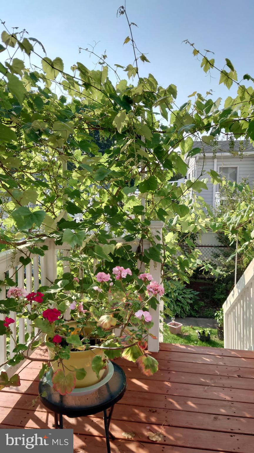 ACHEY LANE - Residential