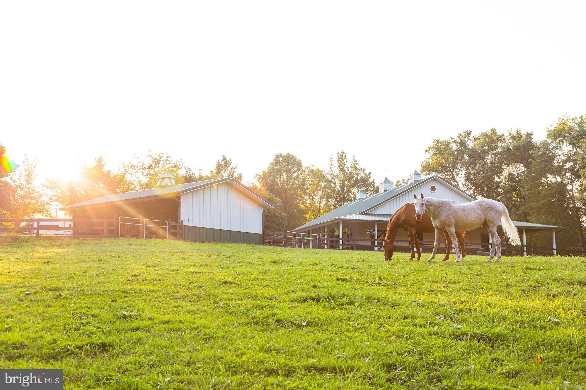 CORNWELL FARM - Residential