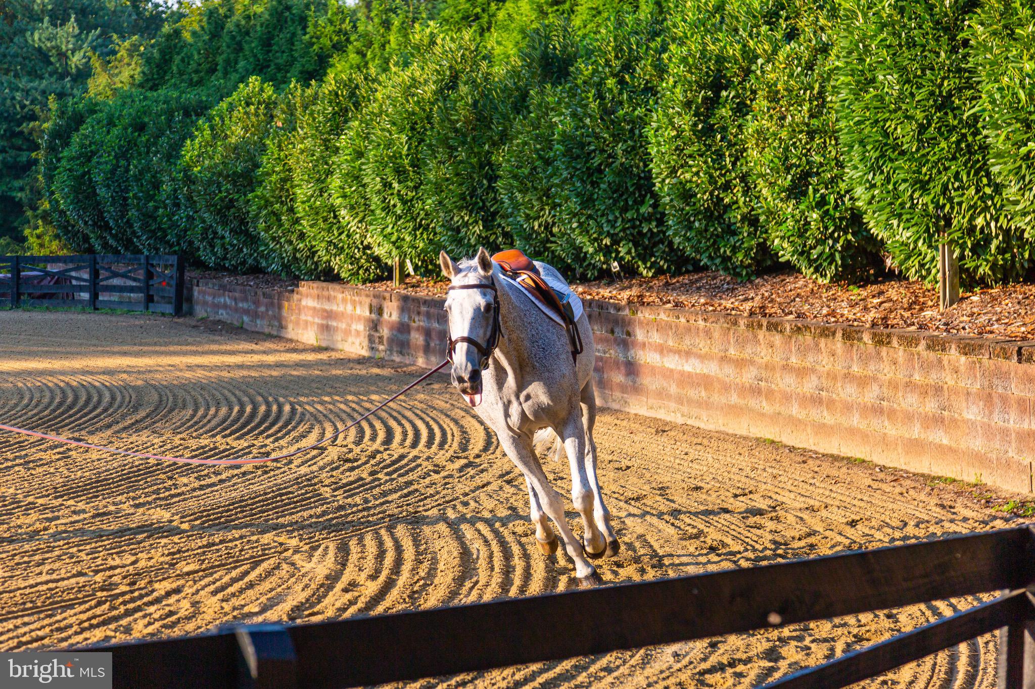 CORNWELL FARM - Residential