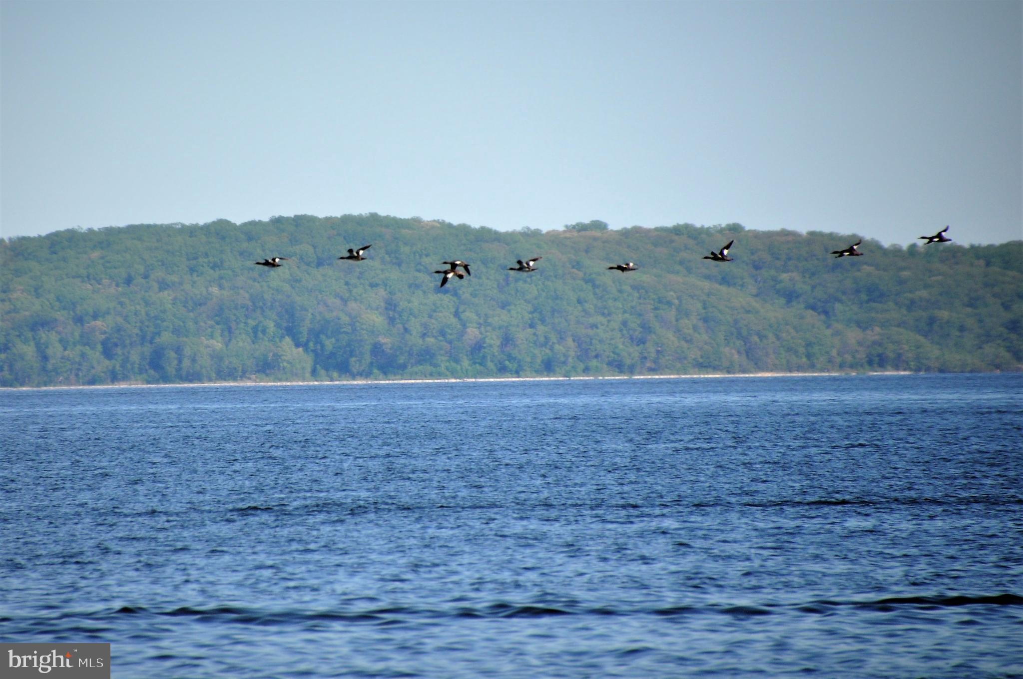 BULLE ROCK - Residential