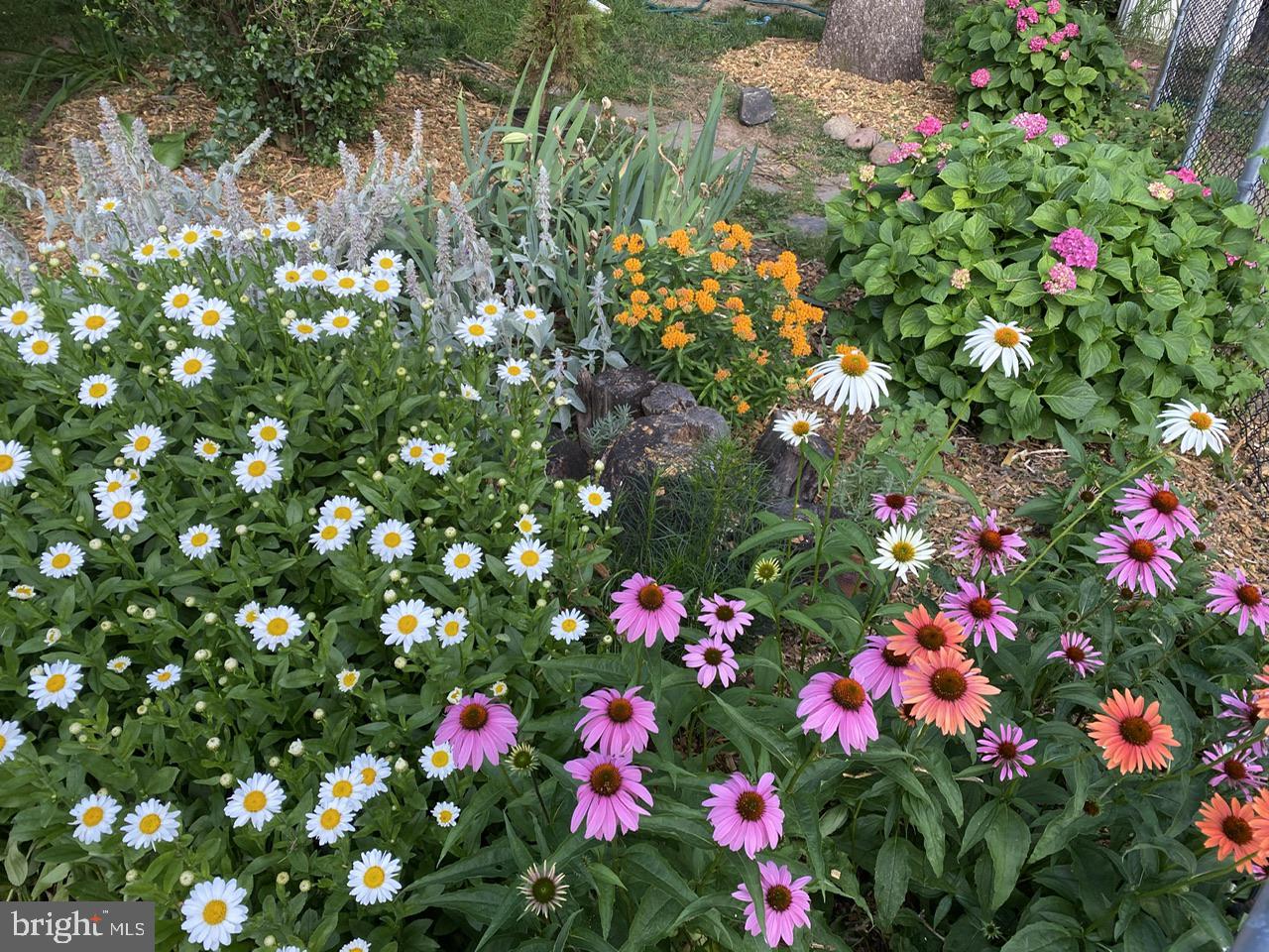 WALTHERSON - Residential