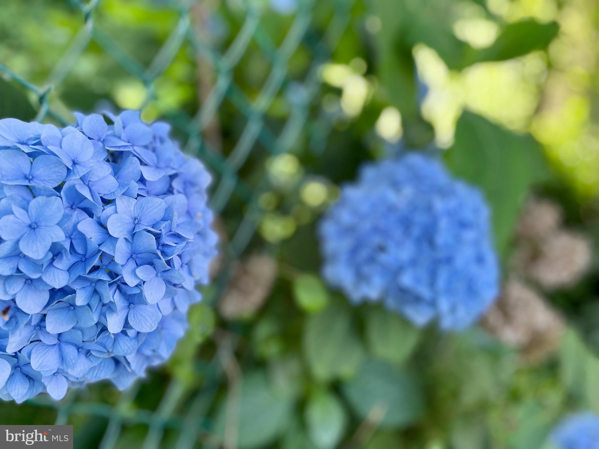 KETTERING - Residential