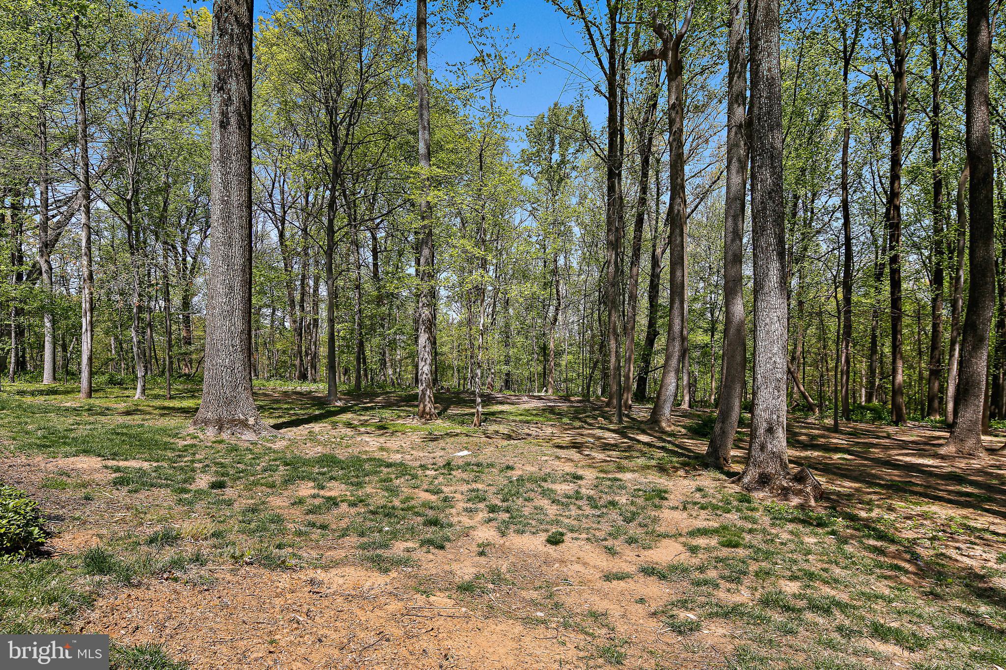 IVY HILL - Residential