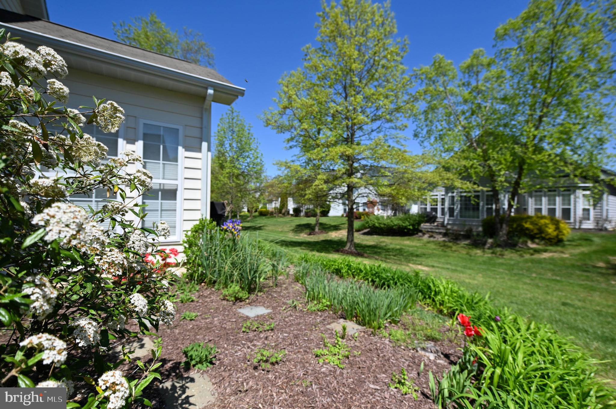 SYMPHONY VILLAGE AT CENTREVILLE - Residential