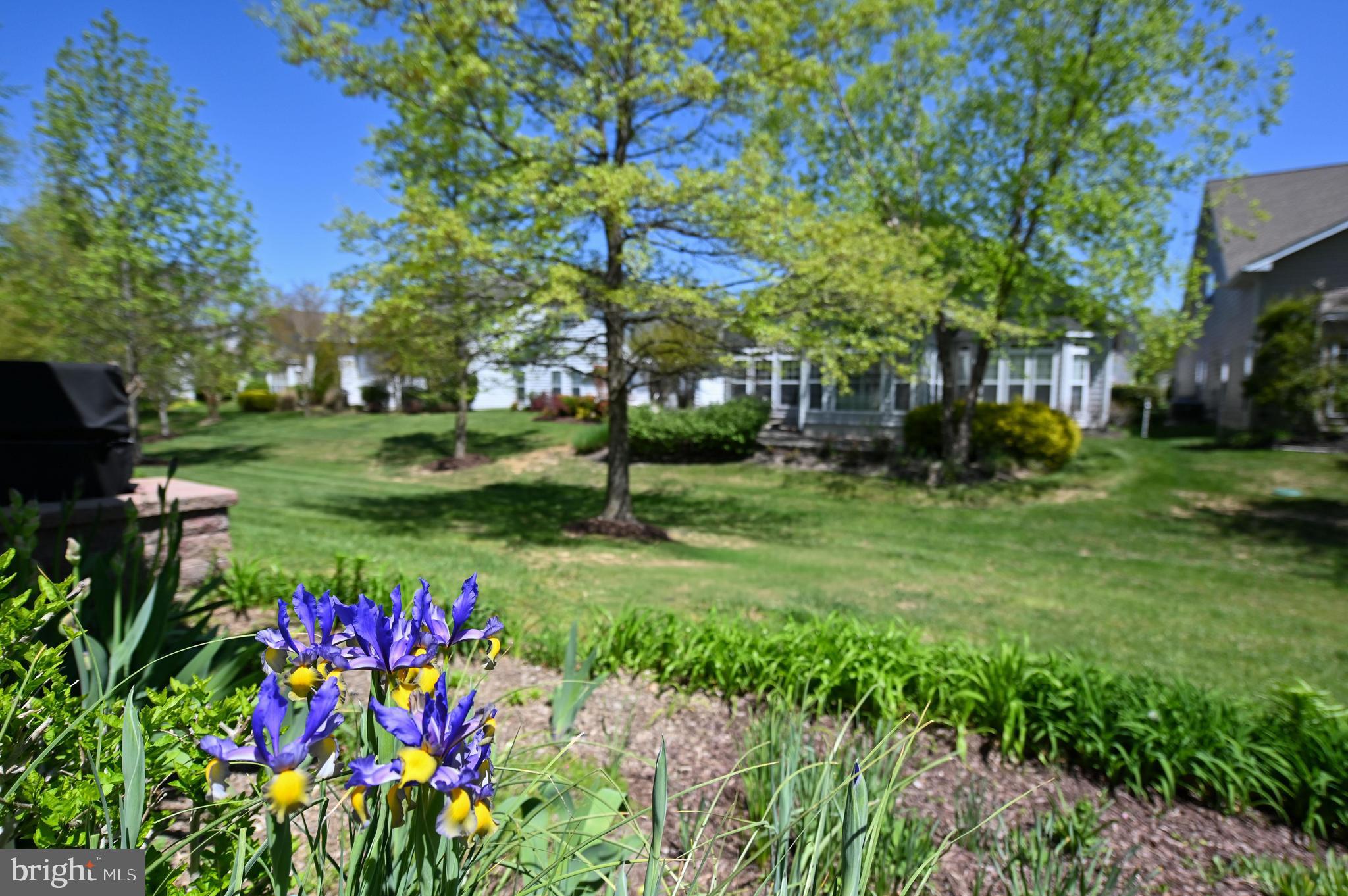 SYMPHONY VILLAGE AT CENTREVILLE - Residential