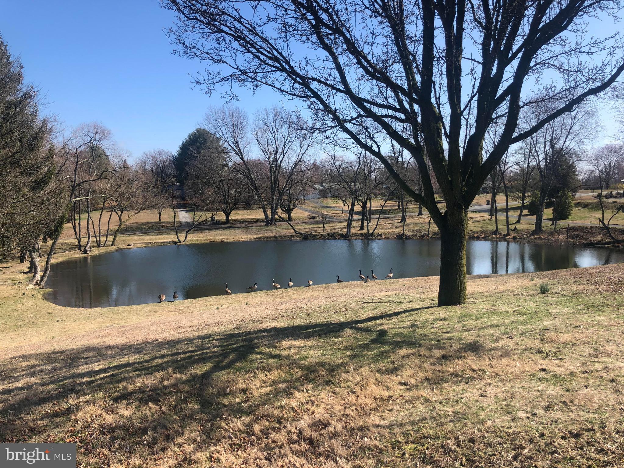 NONE DEV - Residential